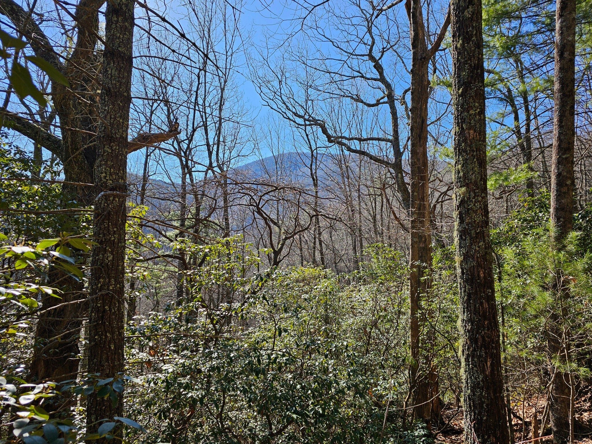 Hey, that's Blood Mountain.