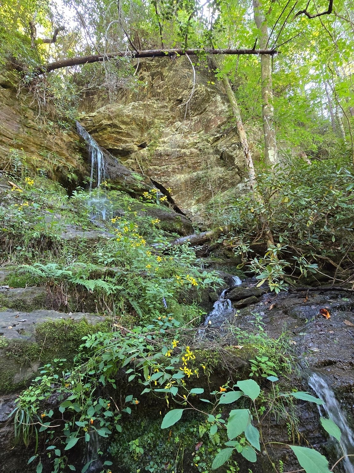 Homer Falls is off a short side trail, but with a much more challenging and steep descent.  Photo by Jane Voss