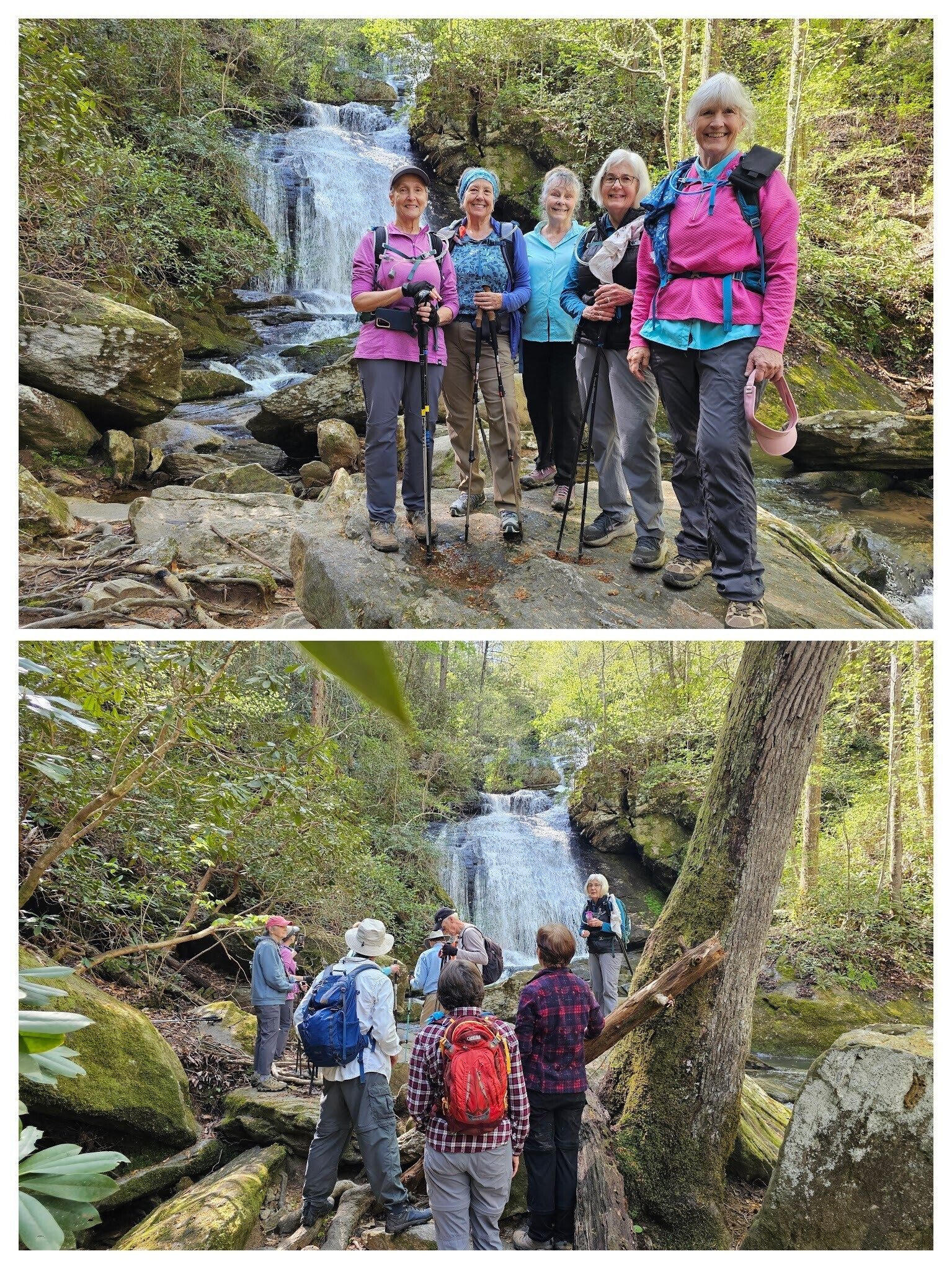 Checking out Opossum Creek Falls.