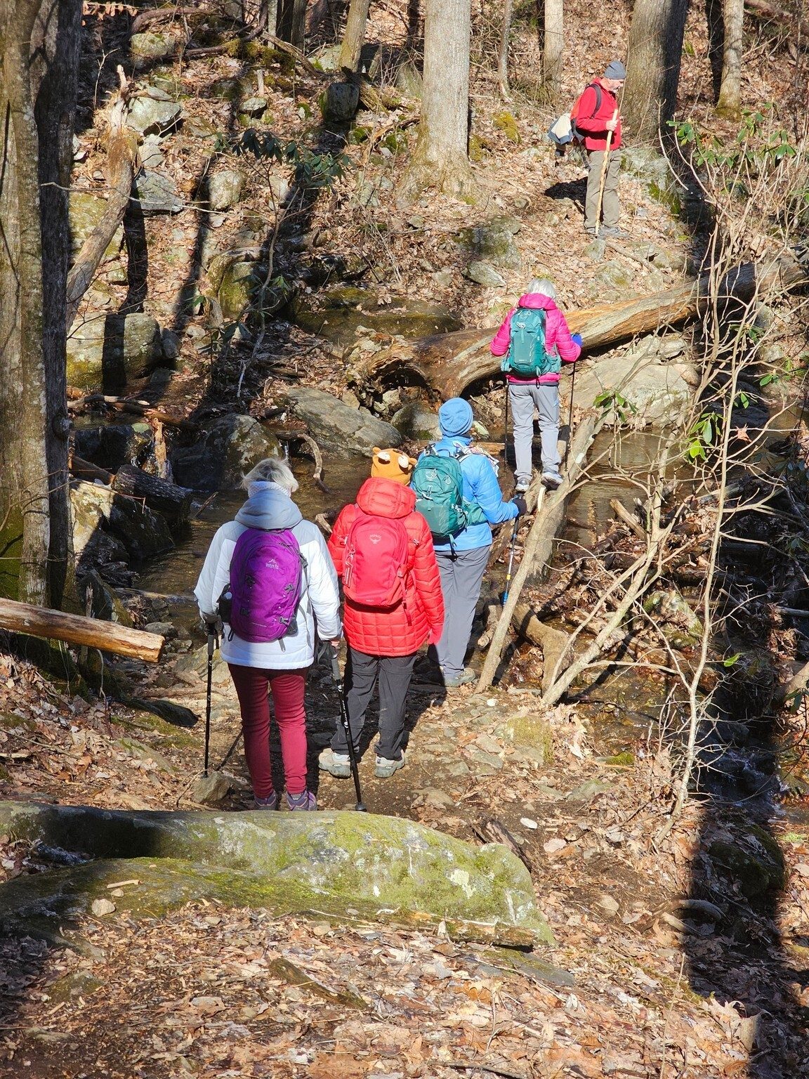 The trickiest water crossing was over Wolf Creek toward the end of the hike.