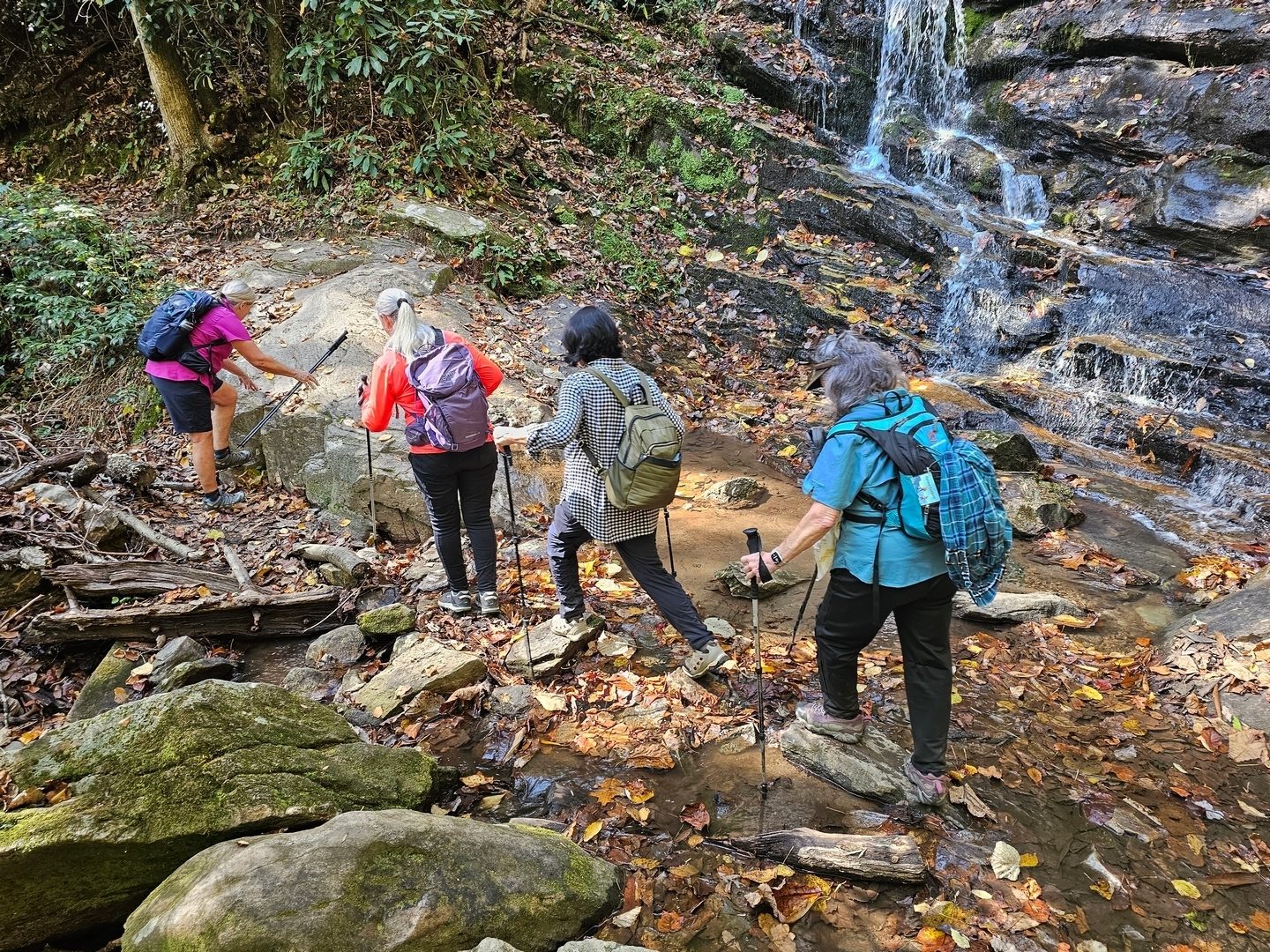 The former bridge across Becky Branch is still out.  Cindy leads the way across the branch up the large boulder on the other side.