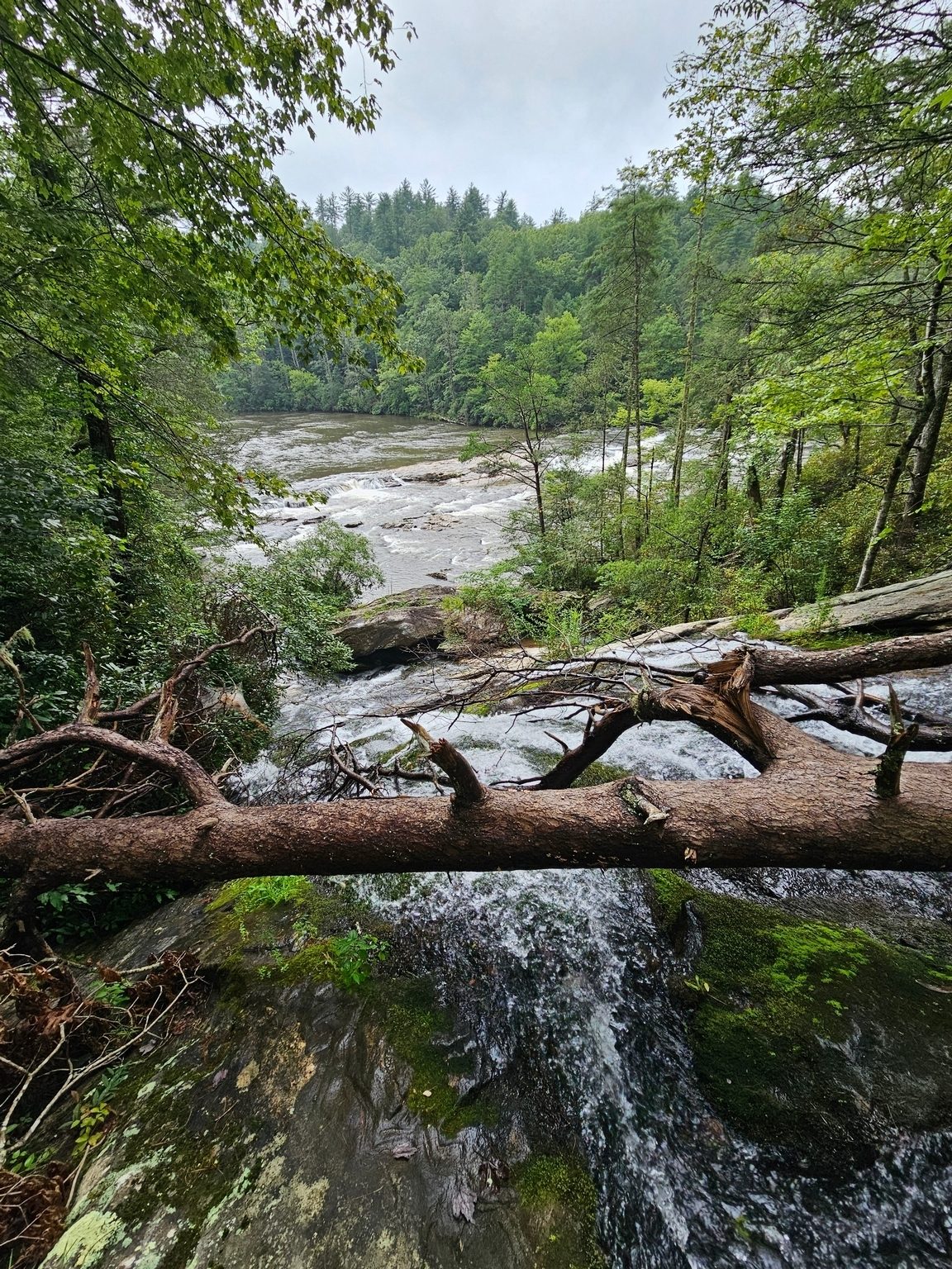 A view just above Dicks Creek Falls.  Photo by Jane Voss.