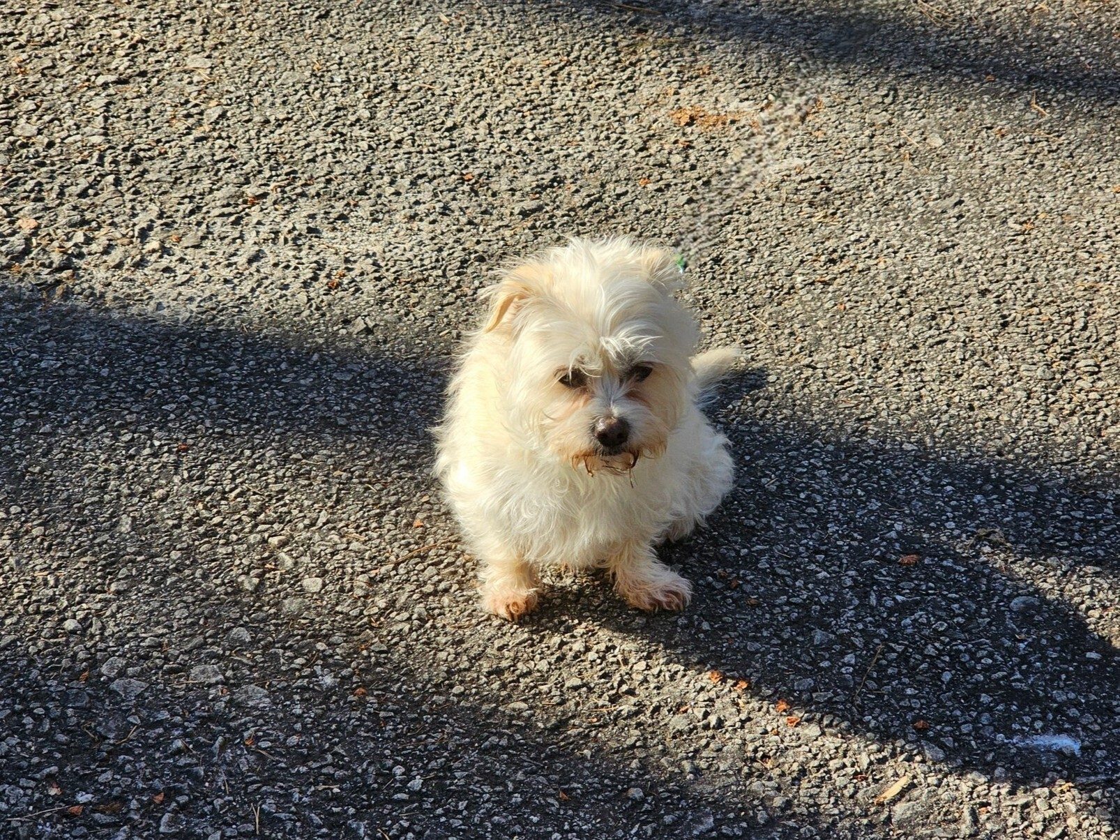 "Don't forget me" Smile Cutie Pie, we won't.