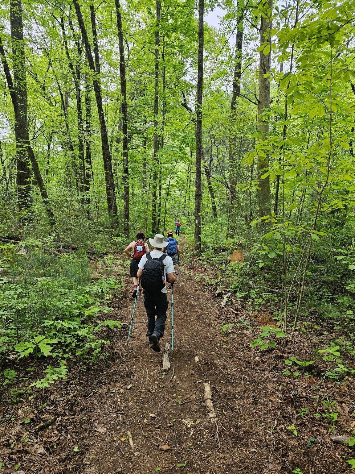 Continued nice trail.