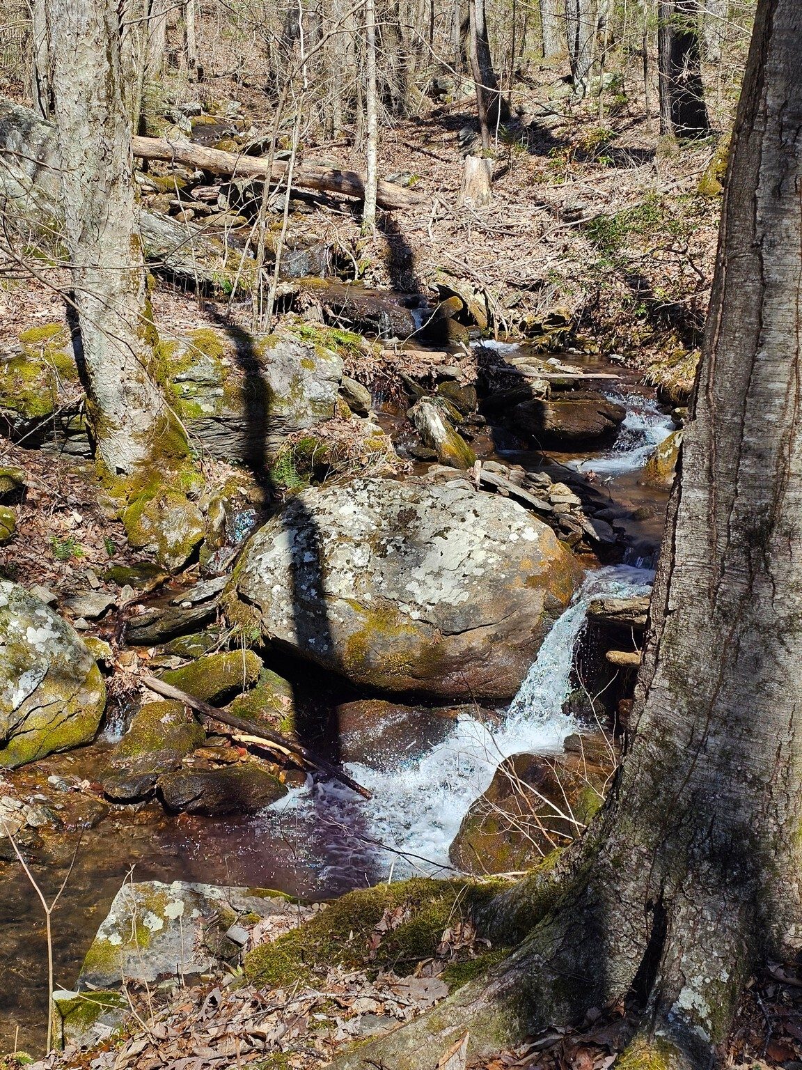 Heading down to see Six-Foot Falls we are paralleling Town Creek, small, but pleasant sounding and with numerous cascades as we hike south.
