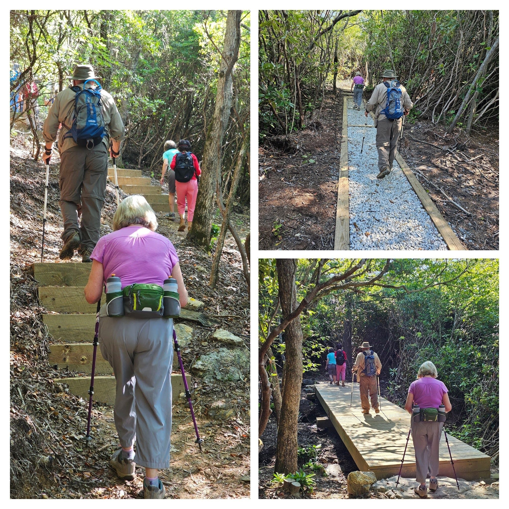 The trail was relocated to the north a few yards beginning at 1.2 miles with extensive improvements