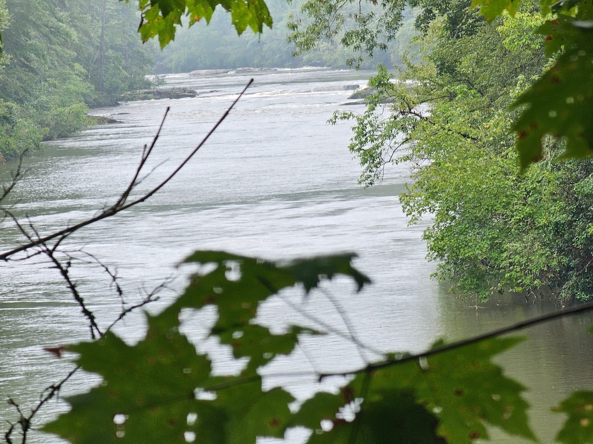 A first view of the Chattooga River.  Lots of water covering many of the usual rapids.