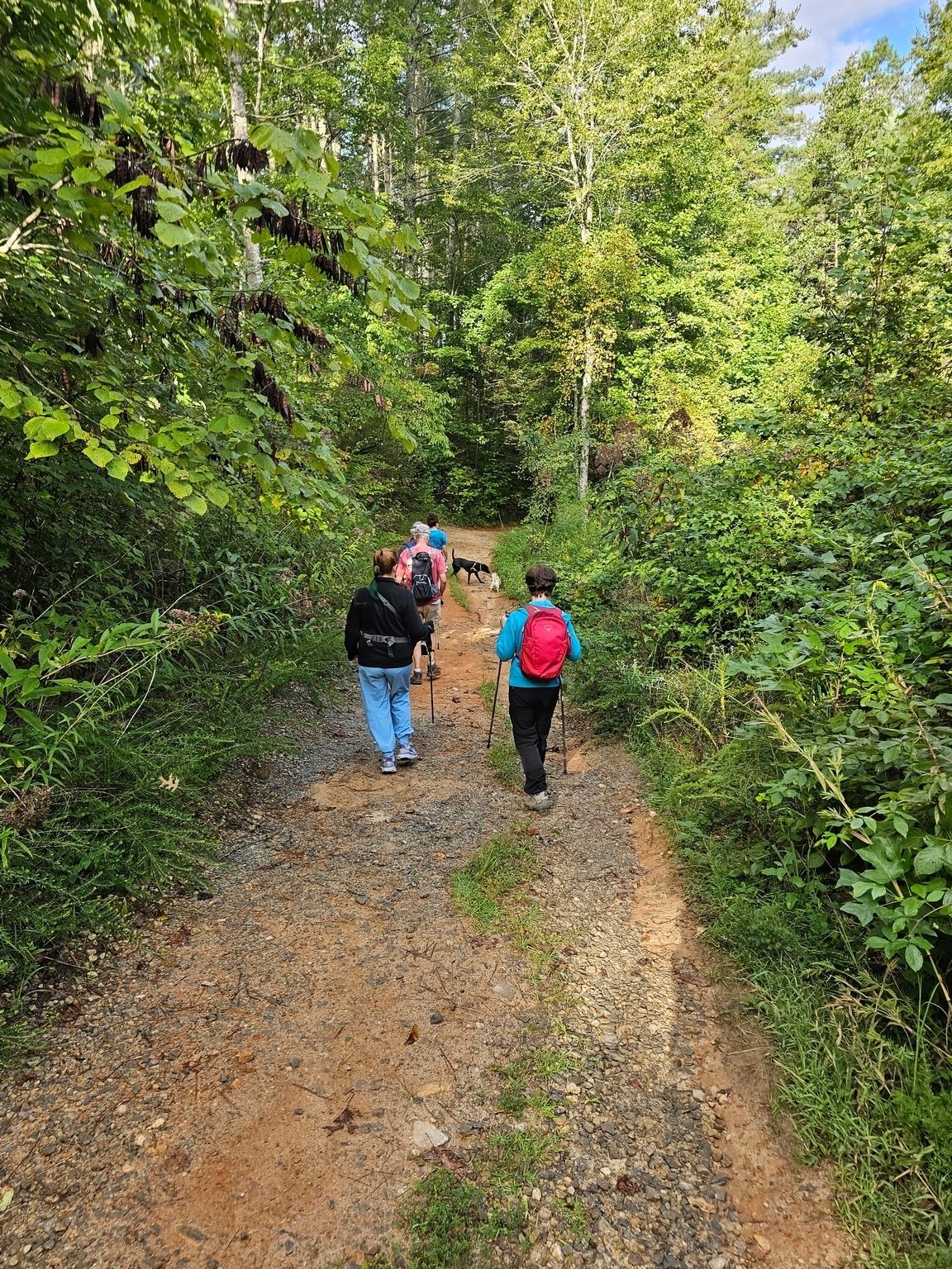We started off for the first 1/2 mile on an unused continuation of Turkey Ridge Rd.