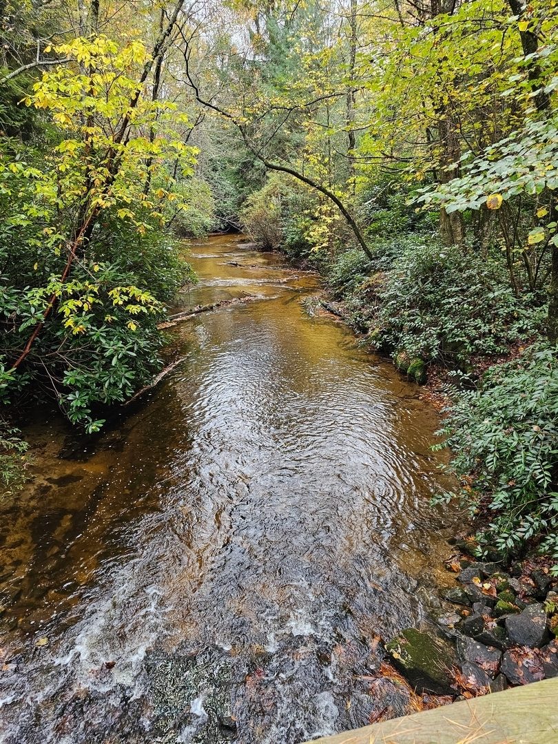 We cross over Panthertown Creek and begin to parallel Greenland Creek on our way to Schoolhouse Falls..