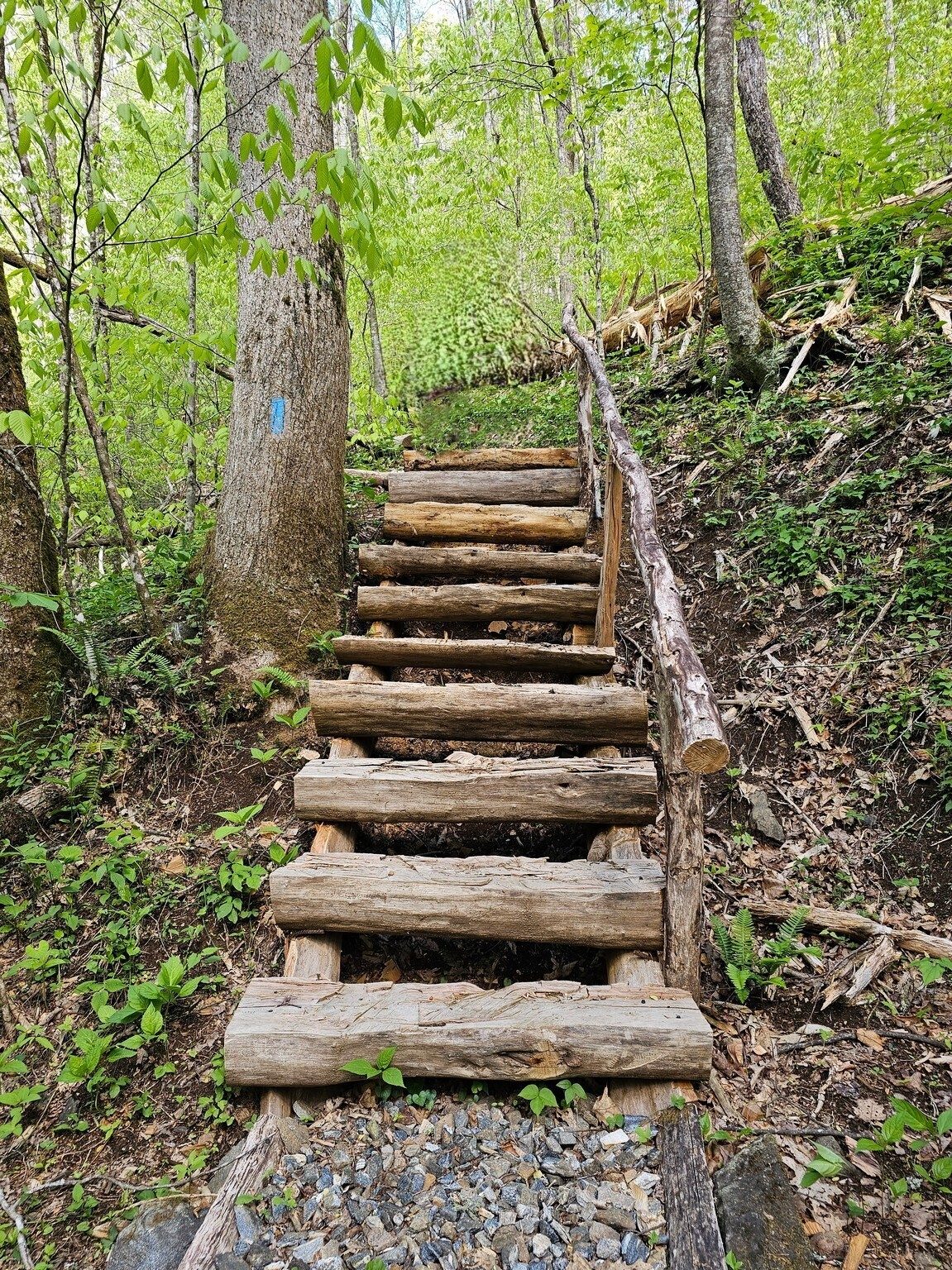 It's always nice to have a good set of steps going up an embankment.