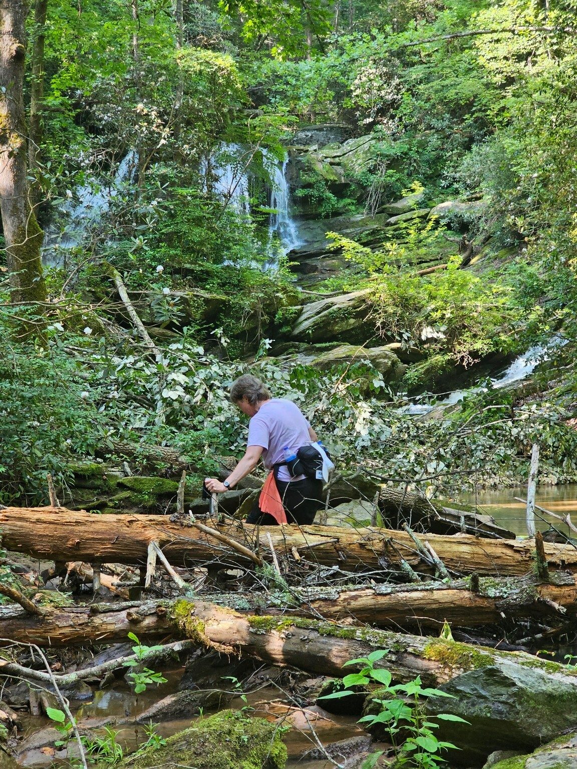 Kim is trying to work her way up the creek to the base of the Filmy Fern Falls , but ....