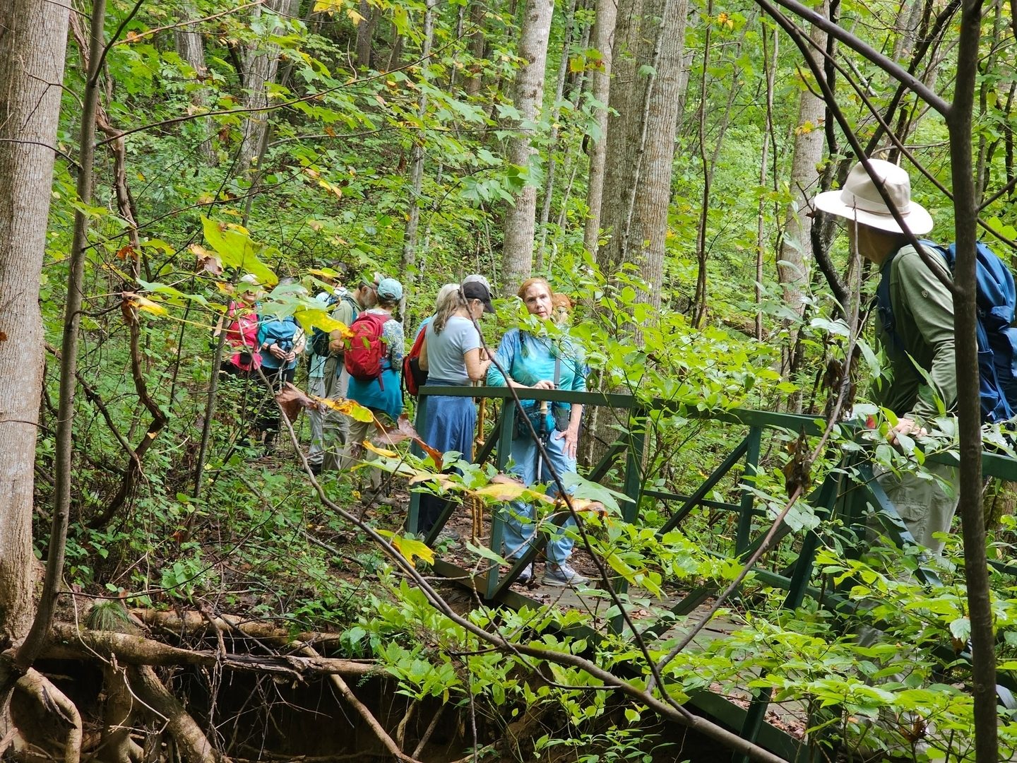 A very nice metal bridge was our turnaround point for this leg of the hike
