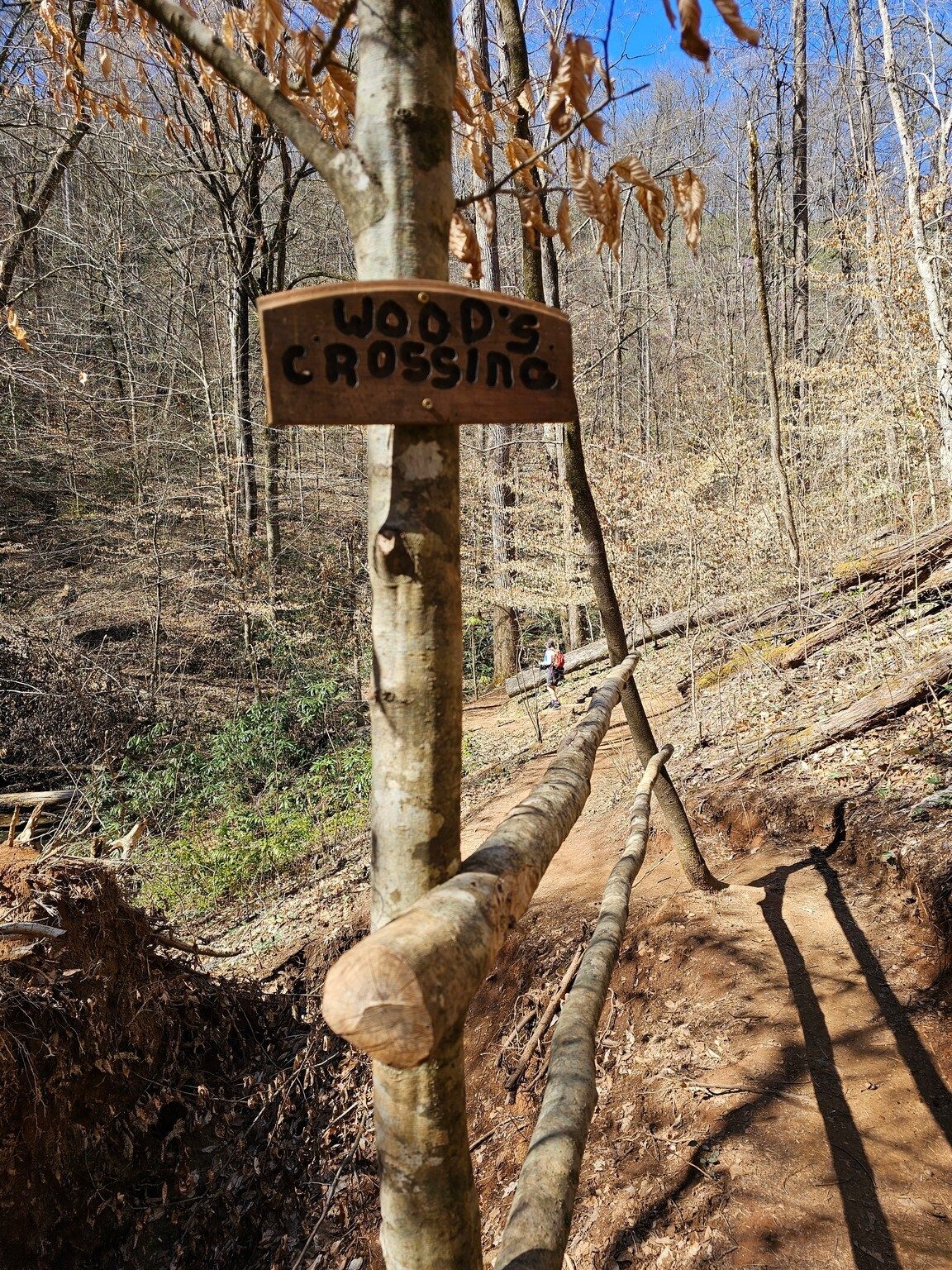 Taking credit for making a nicely-done safe passage around a very large rootball hole.