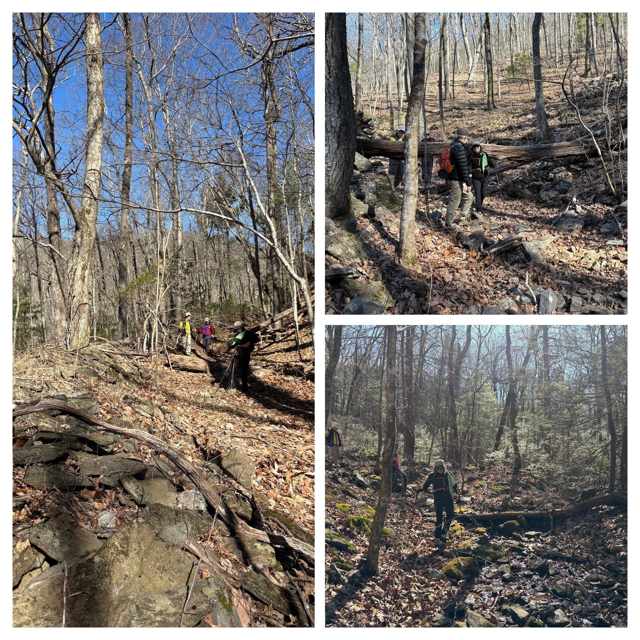 Several pictures by Heather Wall of the original 1820 Logan Turnpike with rock embankments, blowdowns and large rock trail surface.