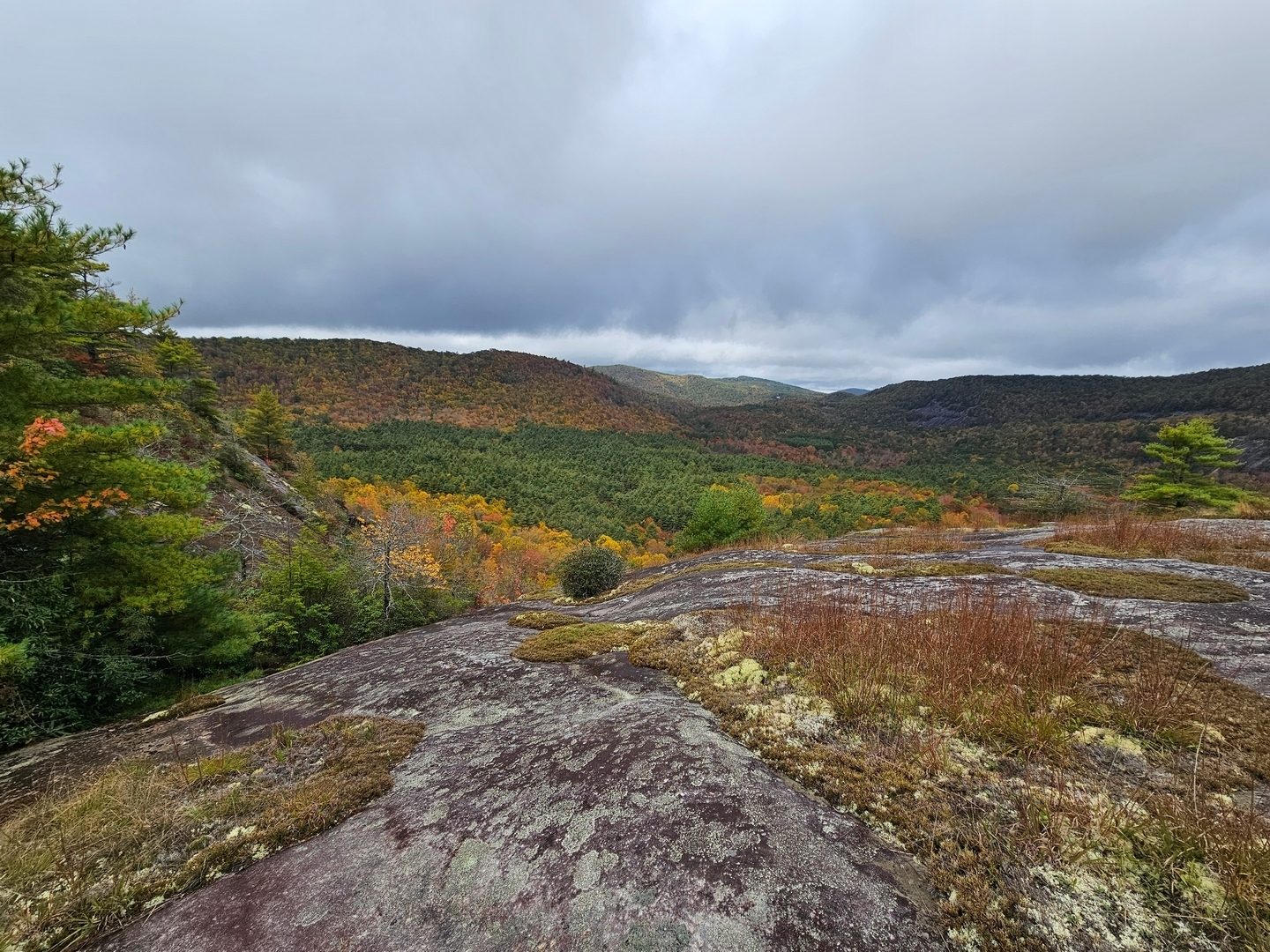 What a great view looking northwest up Panthertown Valley from Little Green Mtn.