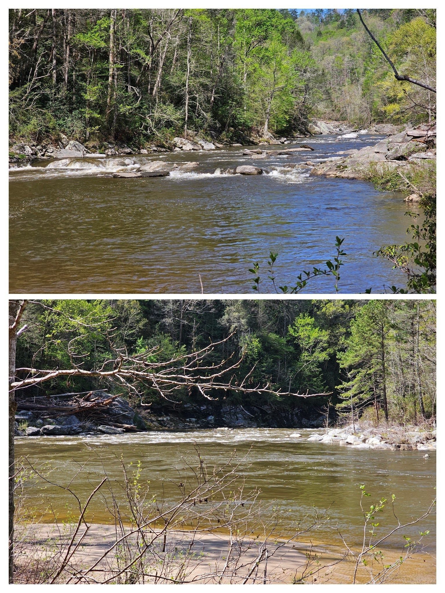 Views down and up the Chattooga from our lunch spot.