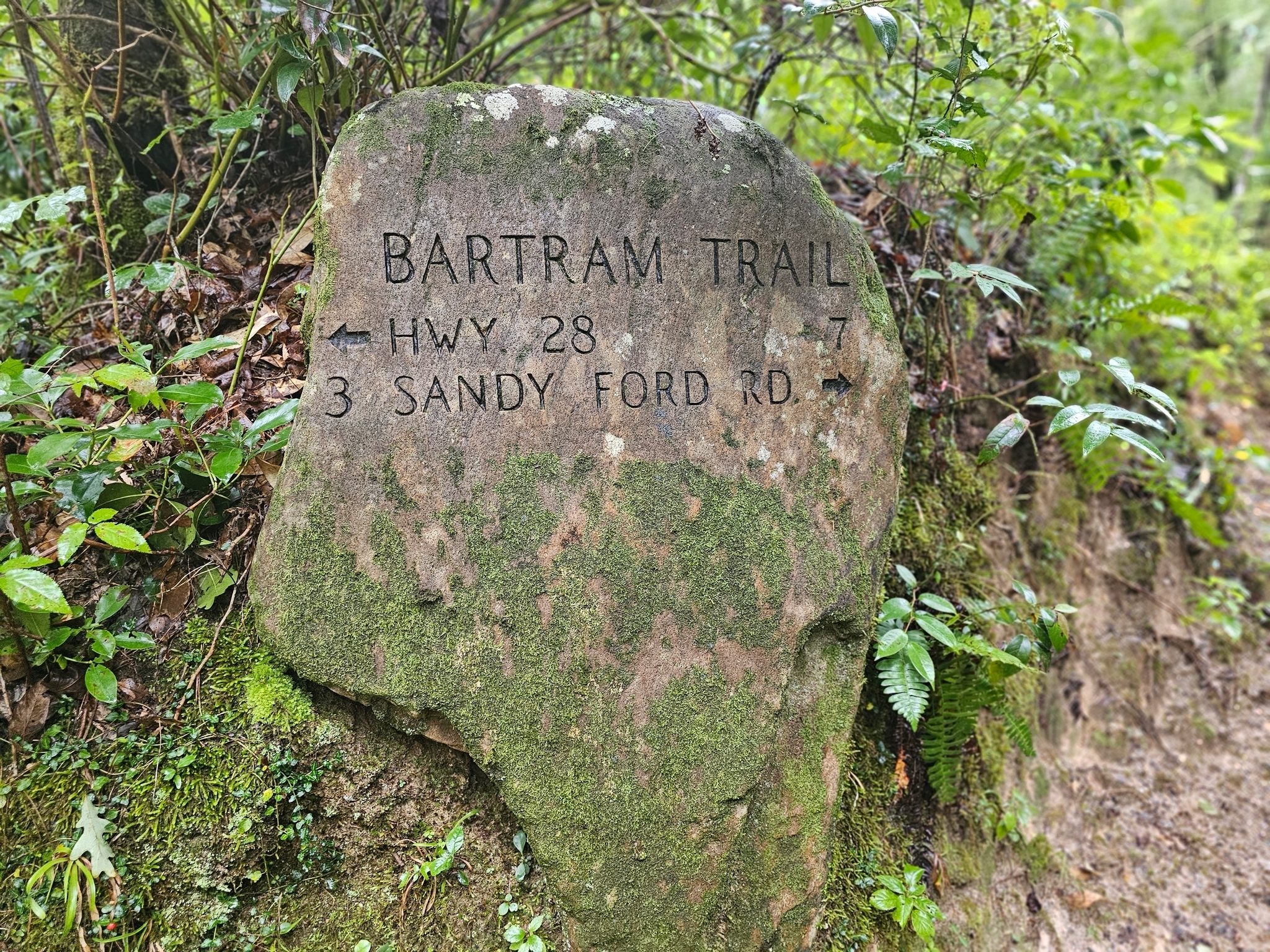 It's easy to overlook this nice trailhead marker which is in the embankment of the trailhead.