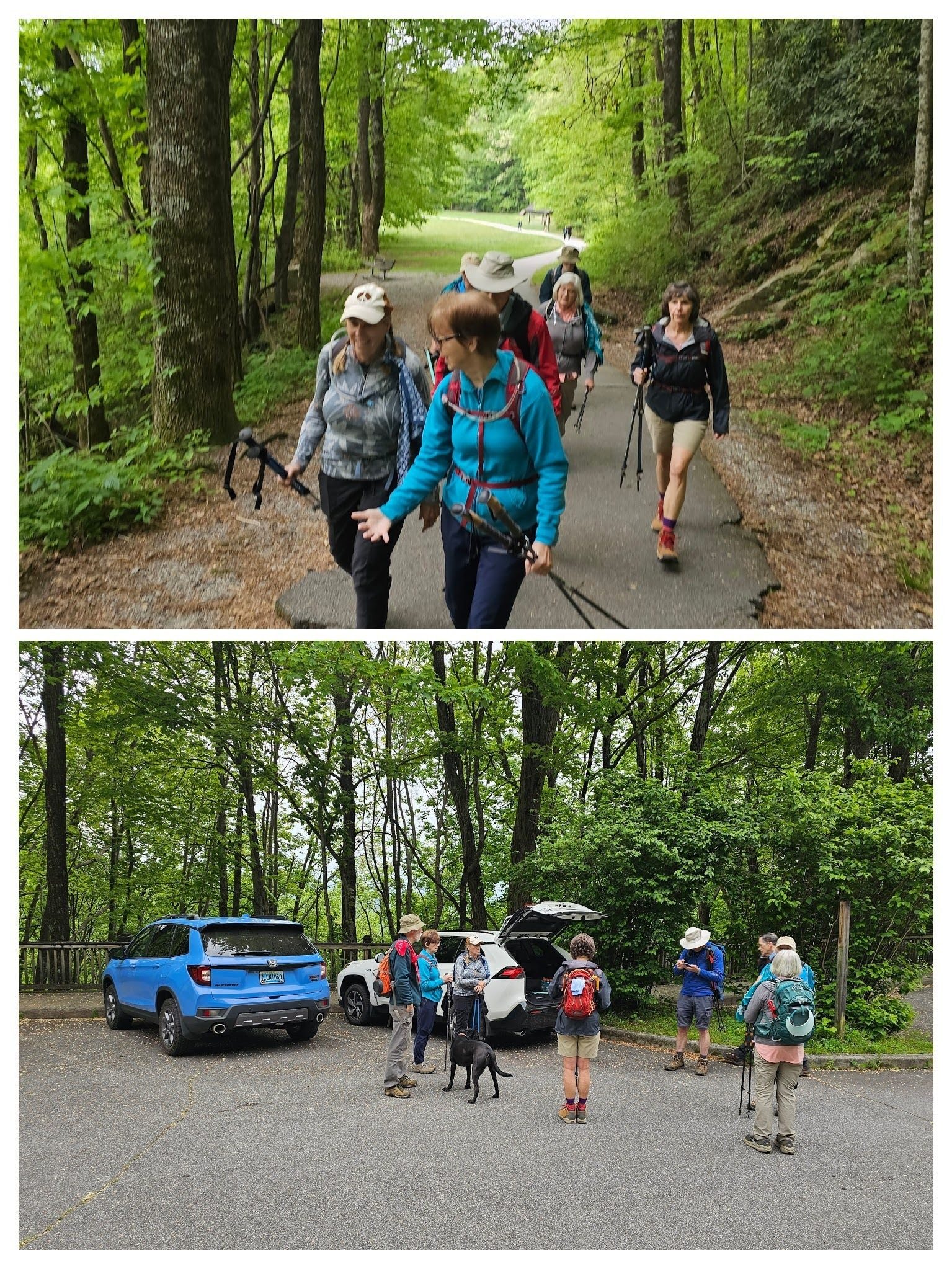 Headed out from the trailhead to the (Upper) Whitewater Falls overlook.