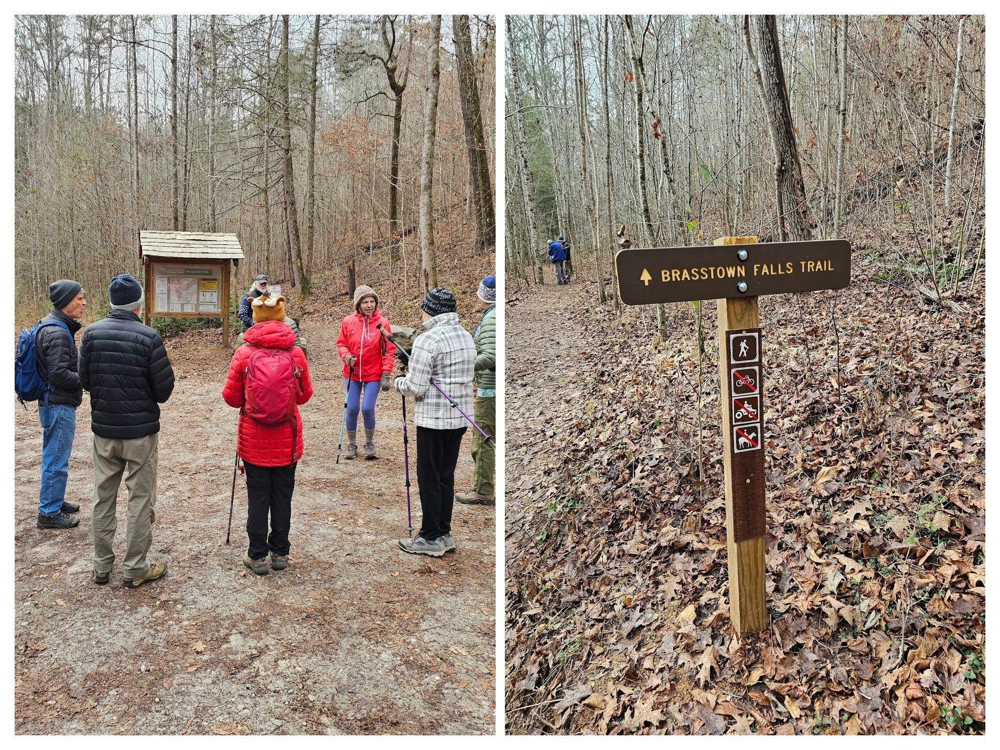 Getting started at the Brasstown Falls trailhead.