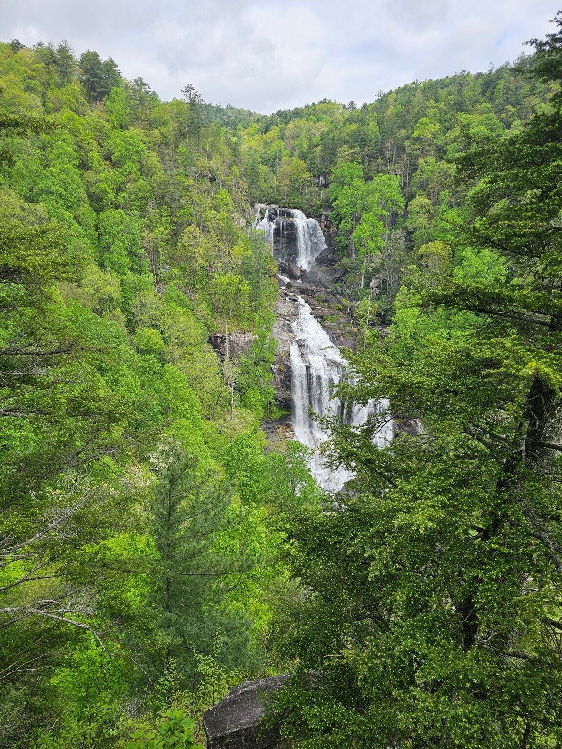 Another view of the Whitewater Falls in its setting.