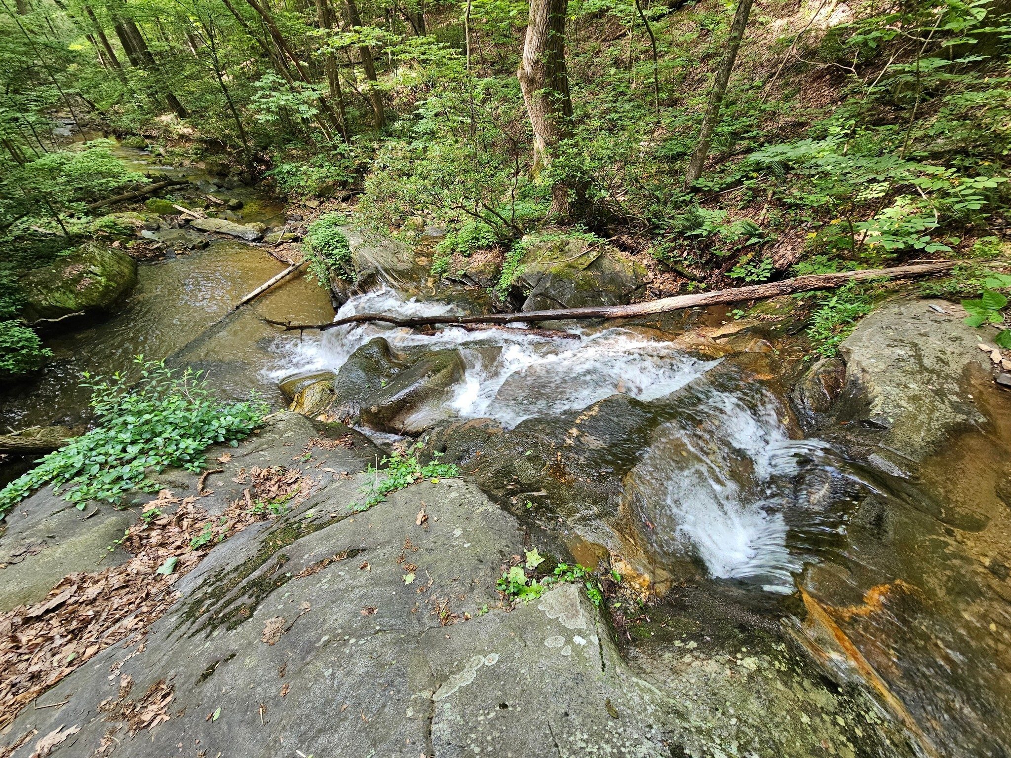 However, some of us were able to scoot down the embankment to reach the top of Trailside Falls.