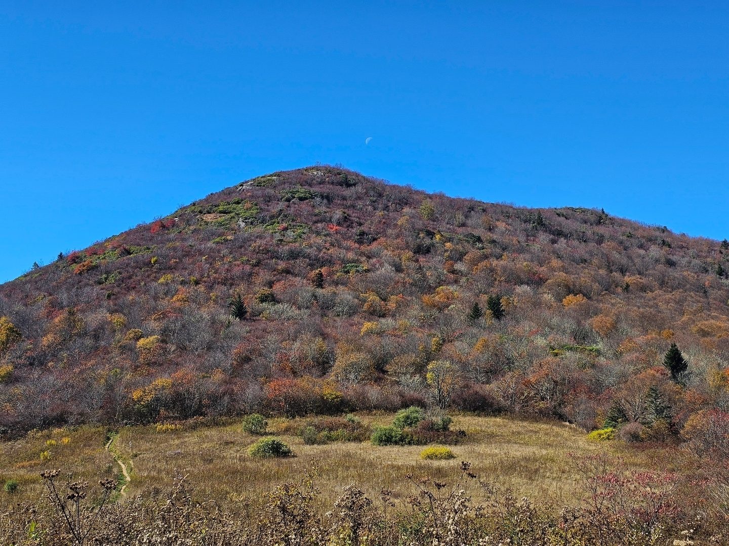 Check out that moon over Sam Knob as we hike toward Black Balsam.  A bit of fall color still in those hills.