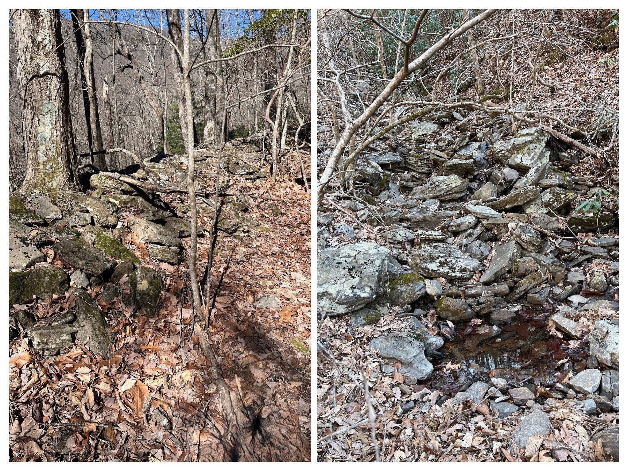 Photos by Jane Brown of the rock embankment on the original Logan Turnpike and a spring near where the turnpike joins the established trail.