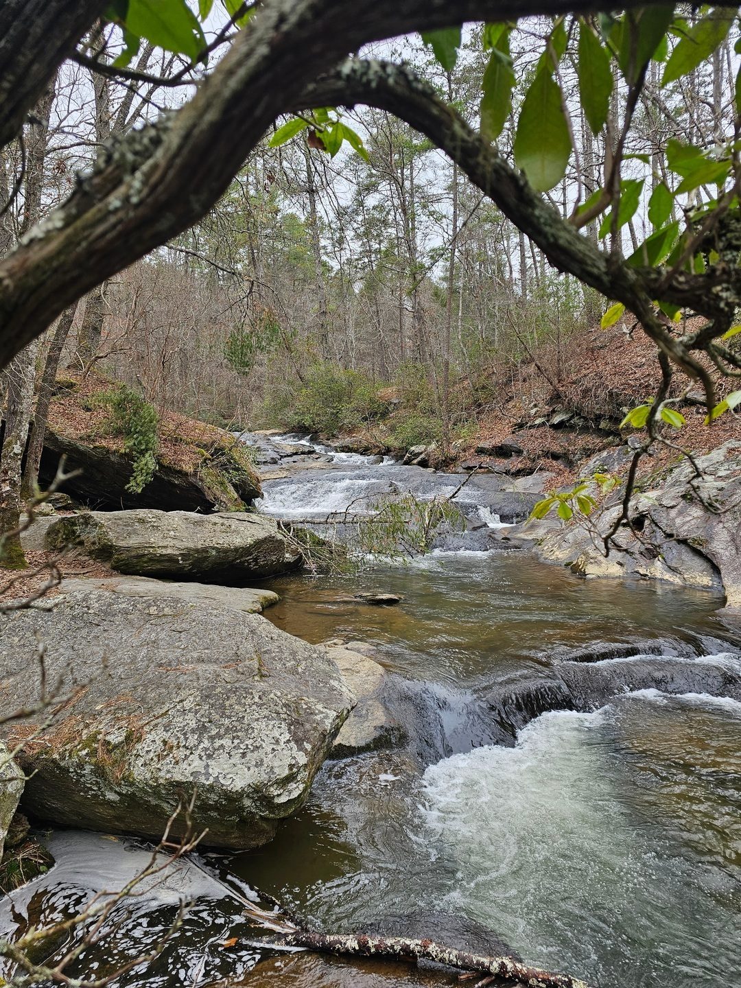 The very scenic Upper Panther Creek Waterfall, a double-tier cascade.