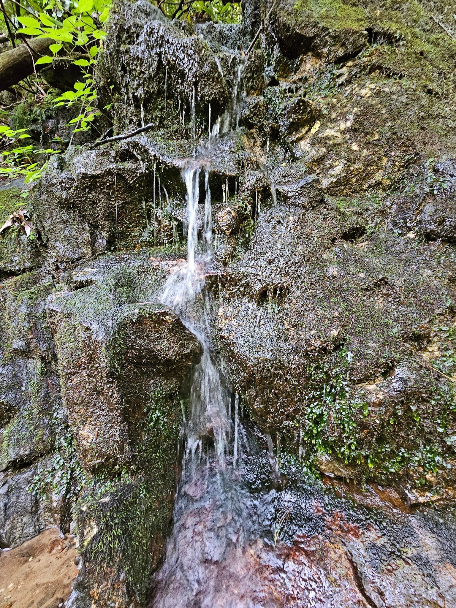 An interesting flow of water from the rocks next to the trail.