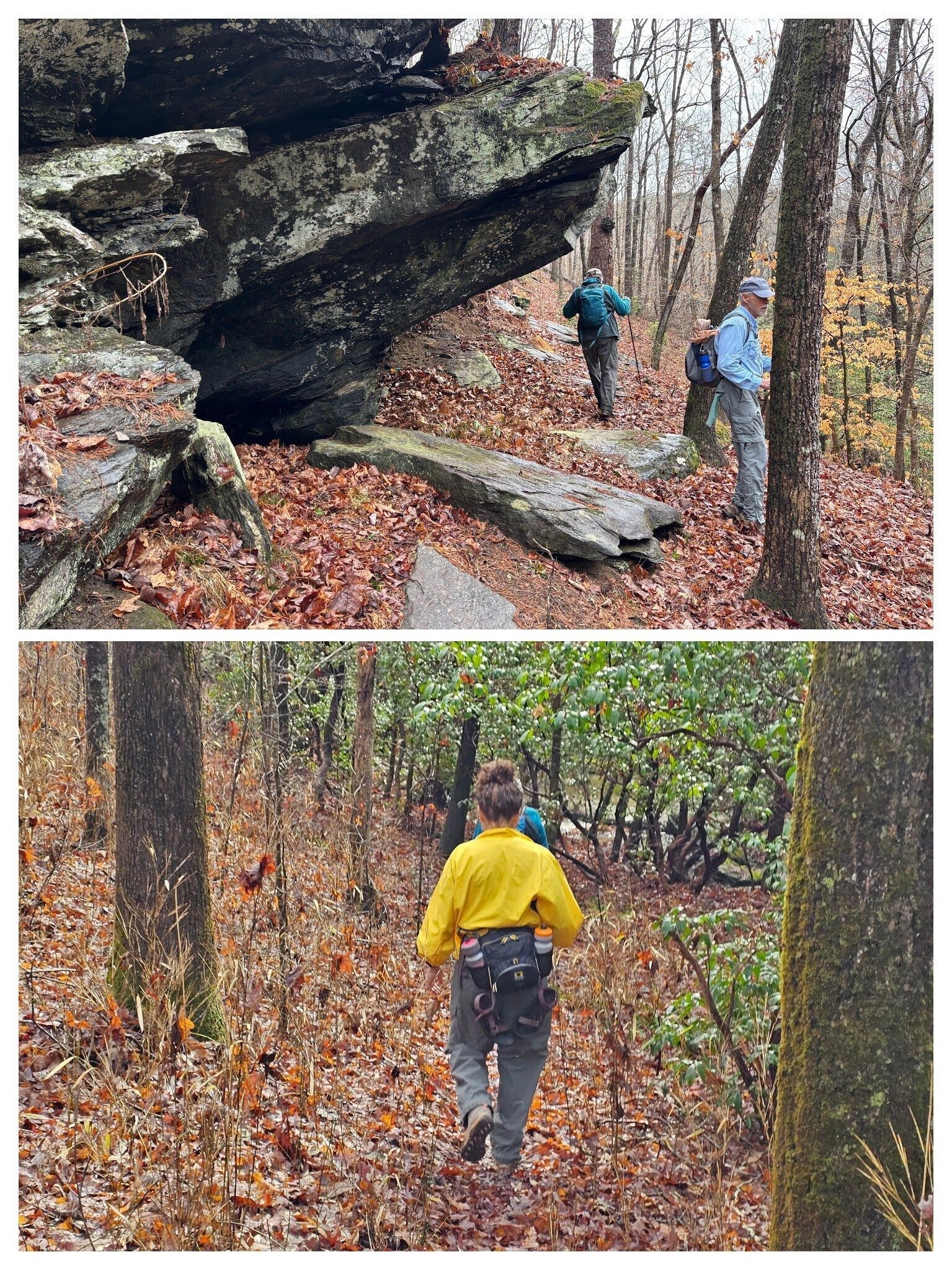 Rather than turn back, we rely upon a previous hiker's track and continue downstream on a fairly decent trail. Upper photo by Heather Wall.