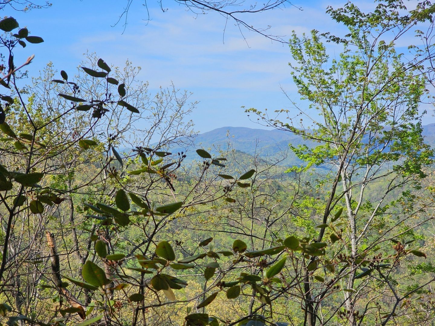 A few views along the ridgeline before we started our descent.
