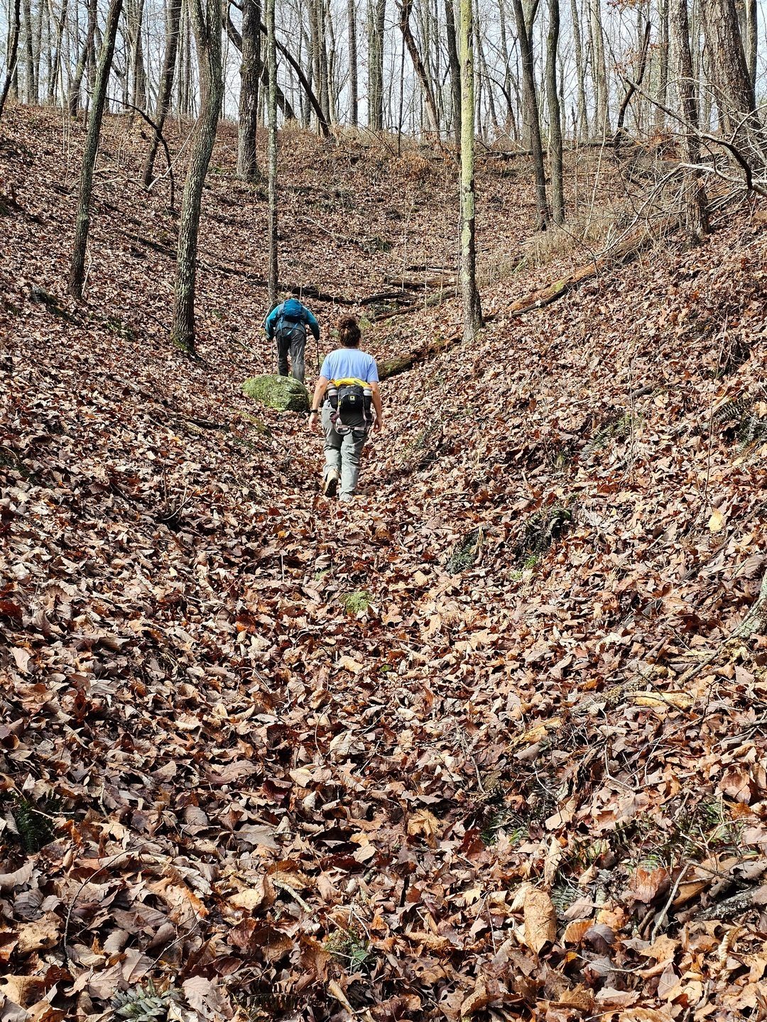 So, up the fairly steep, but long draw in search of the logging road we knew was somewhere up there.