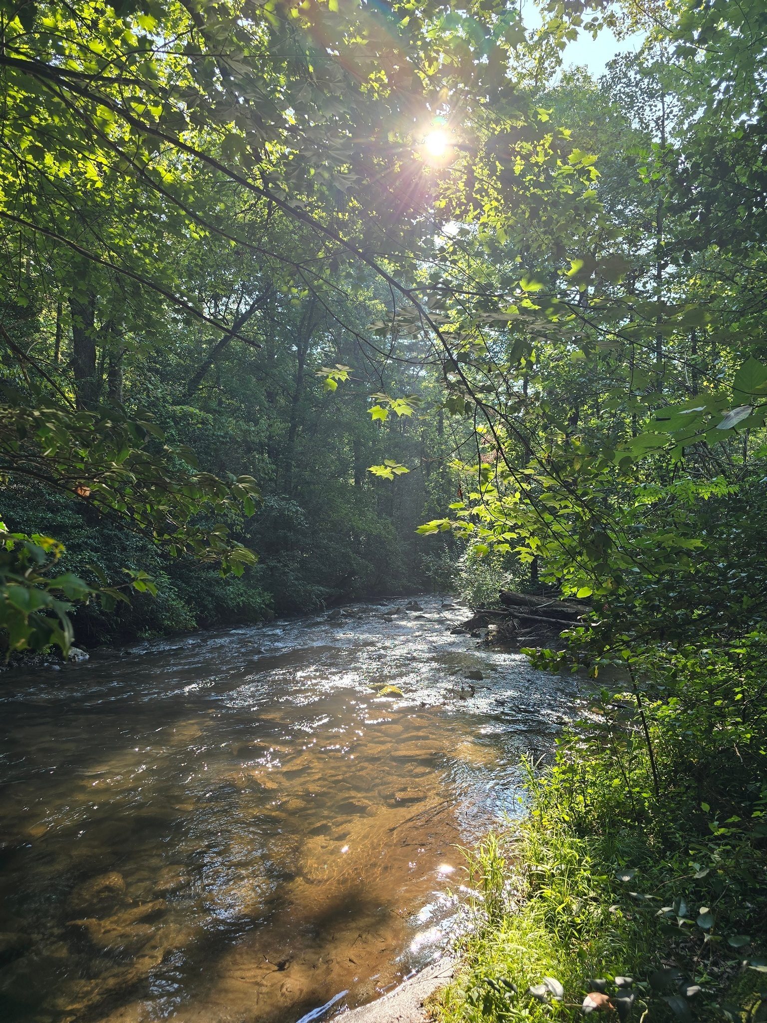 Jane Voss caught this picture of one of the calmer sections of Moccasin Creek as we got started.