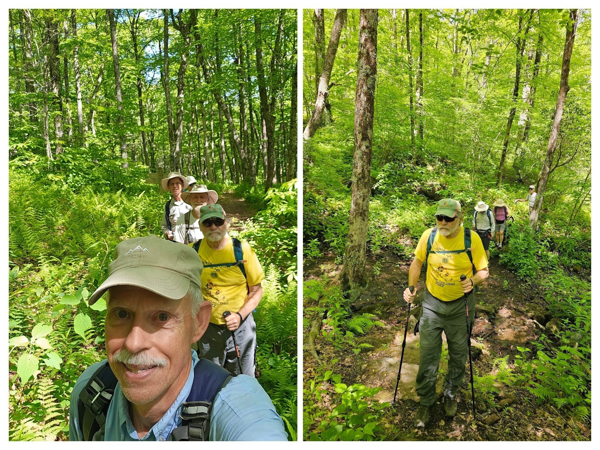 Continuing up the Duncan Ridge Trail toward its intersection with the AT.