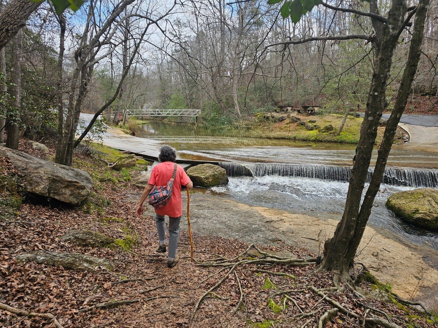 Alicia Morris suggested and led us on the northern section of Victoria's Path.