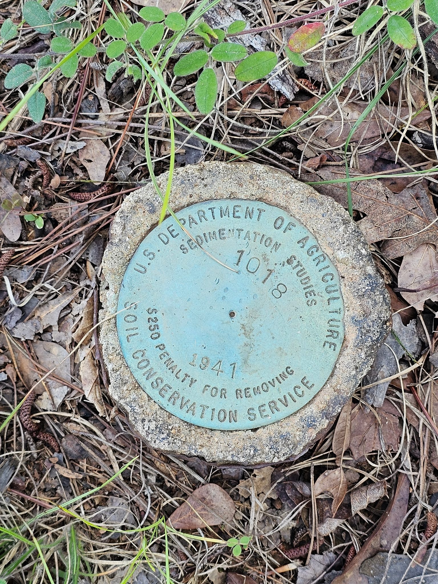 One of a couple of survey markers dated 1941 for this lake.