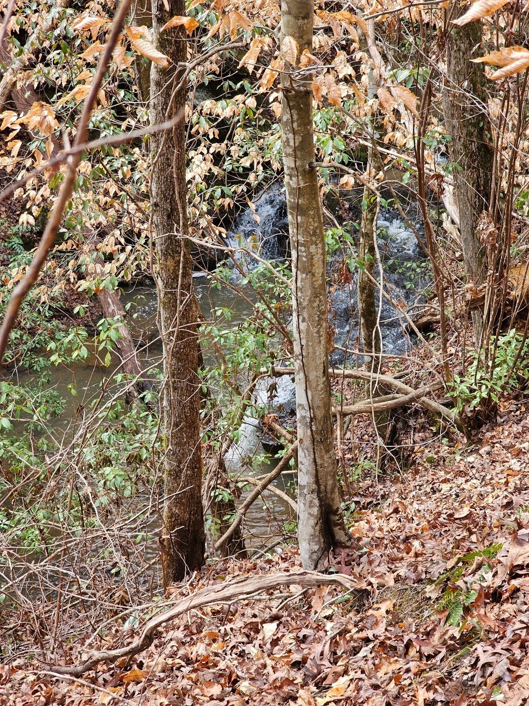 A small horseshoe-shaped waterfall further downstream, but too dangerous to try to get closer.  Heading back uptrail.