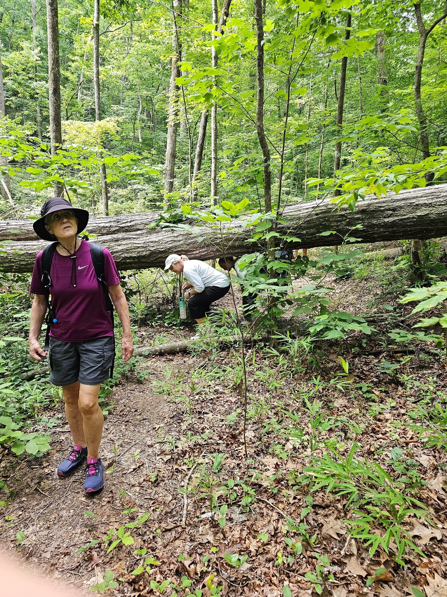 One of several blowdowns encountered on Dead Man's Trail.  Beth is checking out something while Jennifer is finishing ducking under that tree.