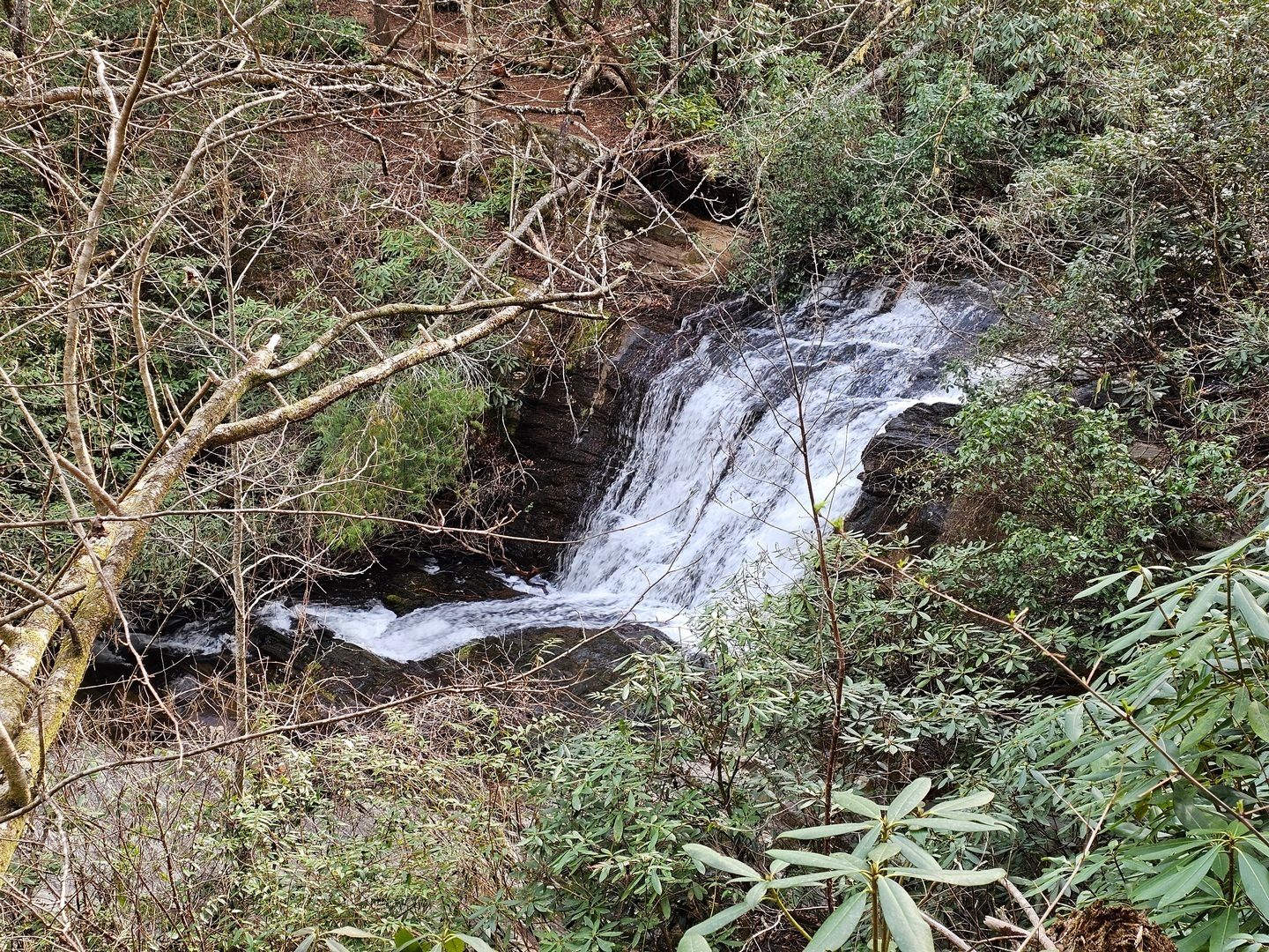 The view of Licklog Falls is better than usual, but its not possible to easily get down to the base of the falls.