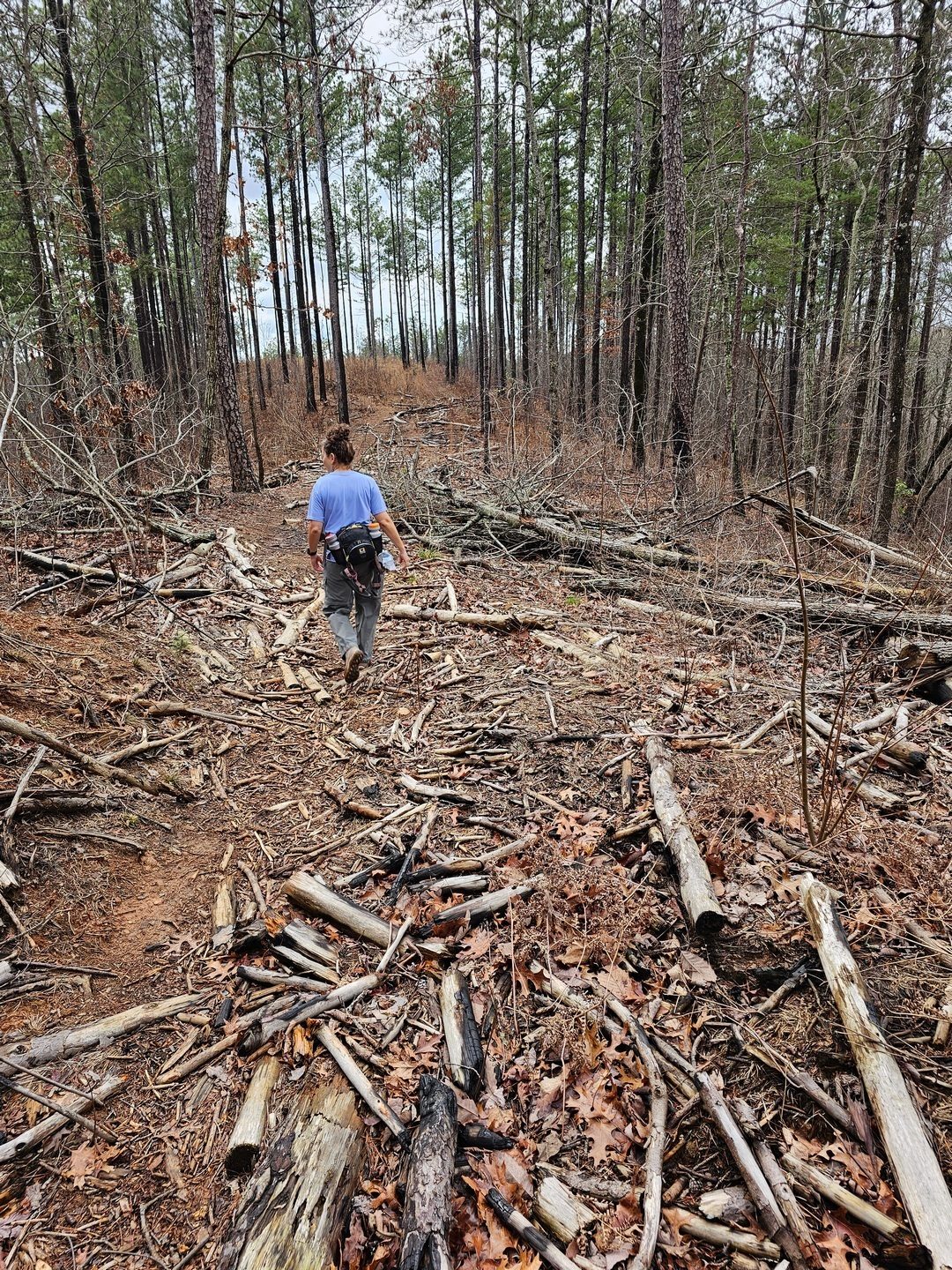 Now we're headed on a section of log strewn FS-89 that takes us to the Tabor Falls Trail.