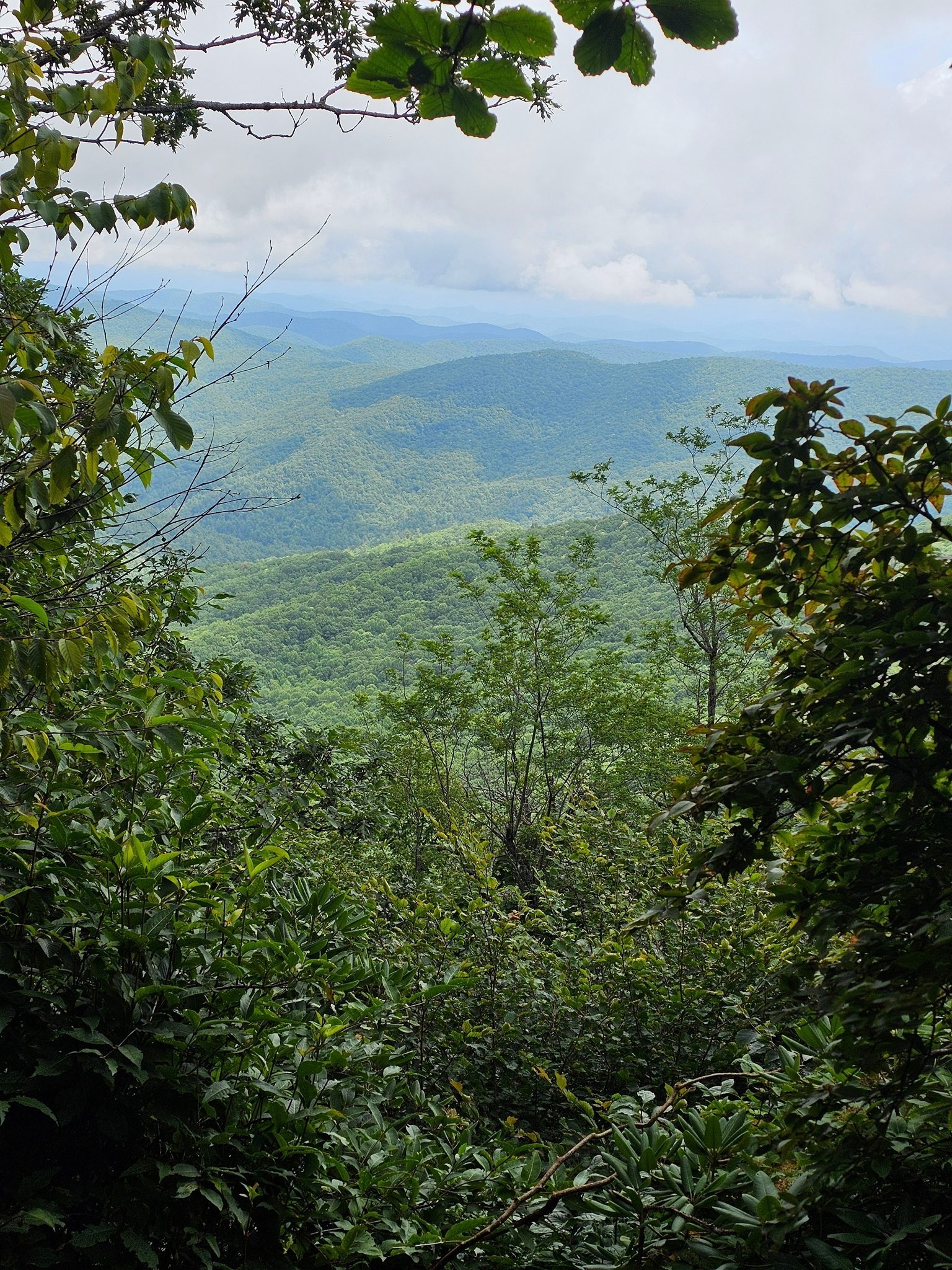 One of the few unobscured overlook photos from along the AT today.  Photo by Pam Hembree.