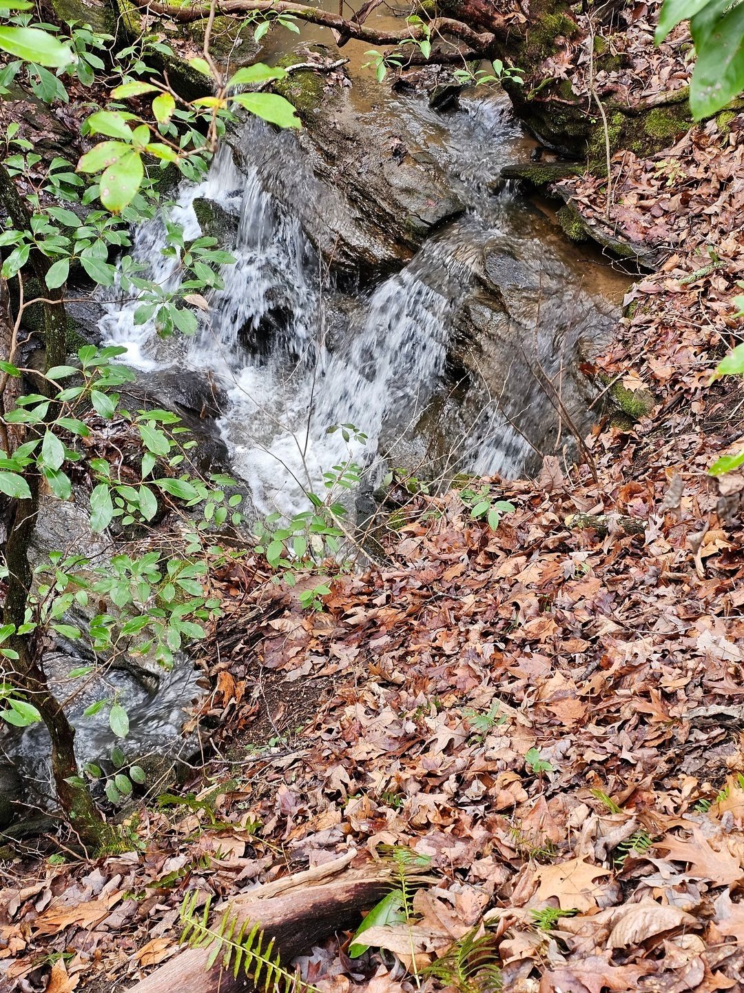 Another small waterfall as we head up-trail in search of Upper Tabor Falls.