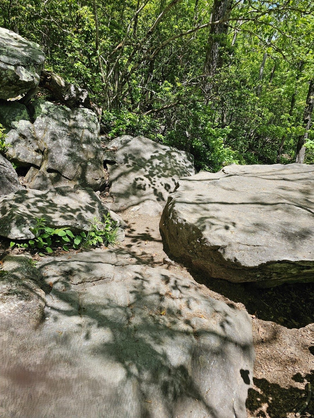It is definitely a slow rocky hike down Blood Mountain.
