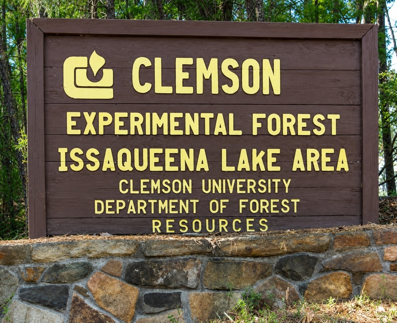 What a great place to hike . . . so many trails.