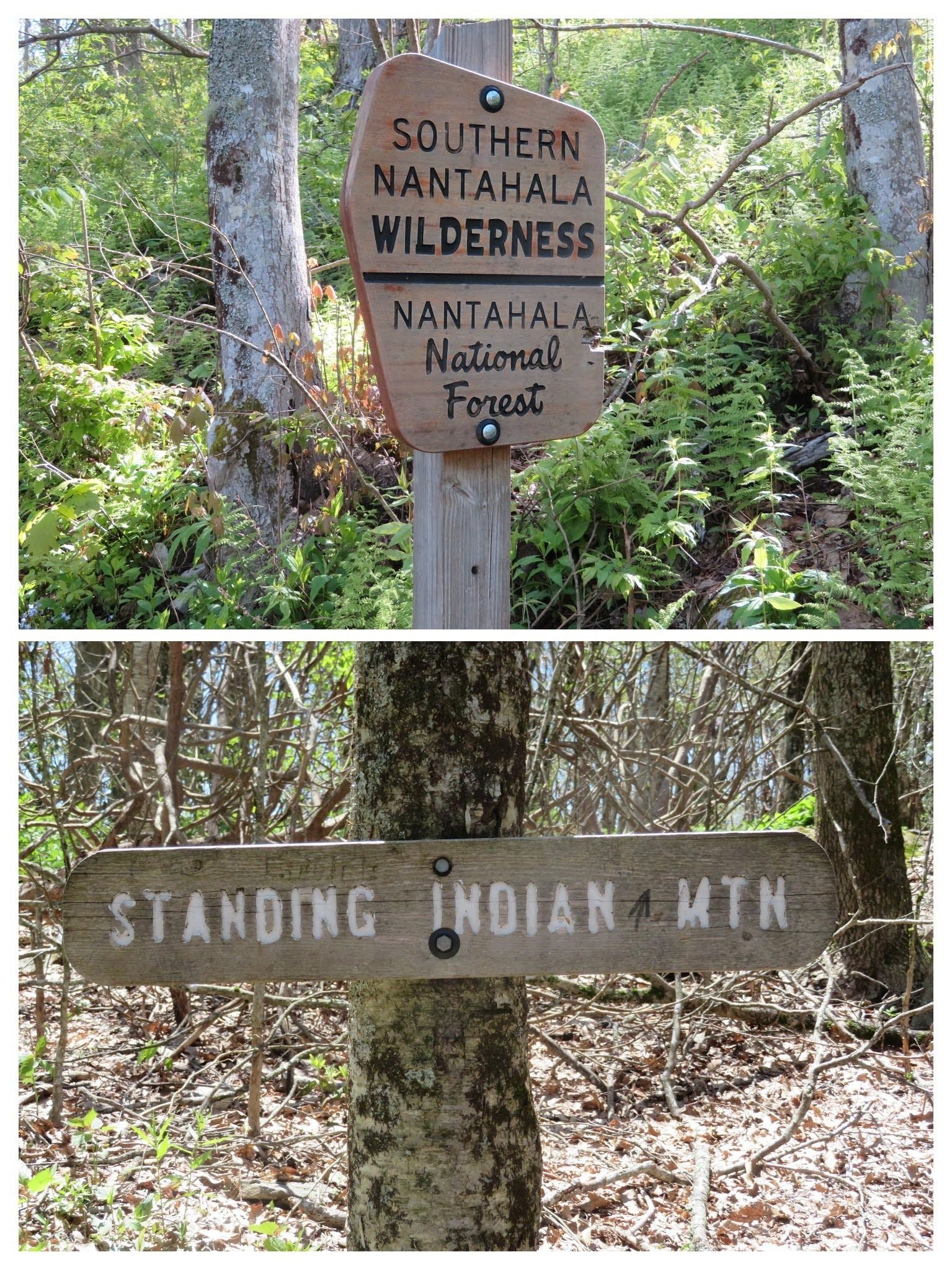 As we hiked, John Cape reminisced about these nice signs that are no long present on this trail.