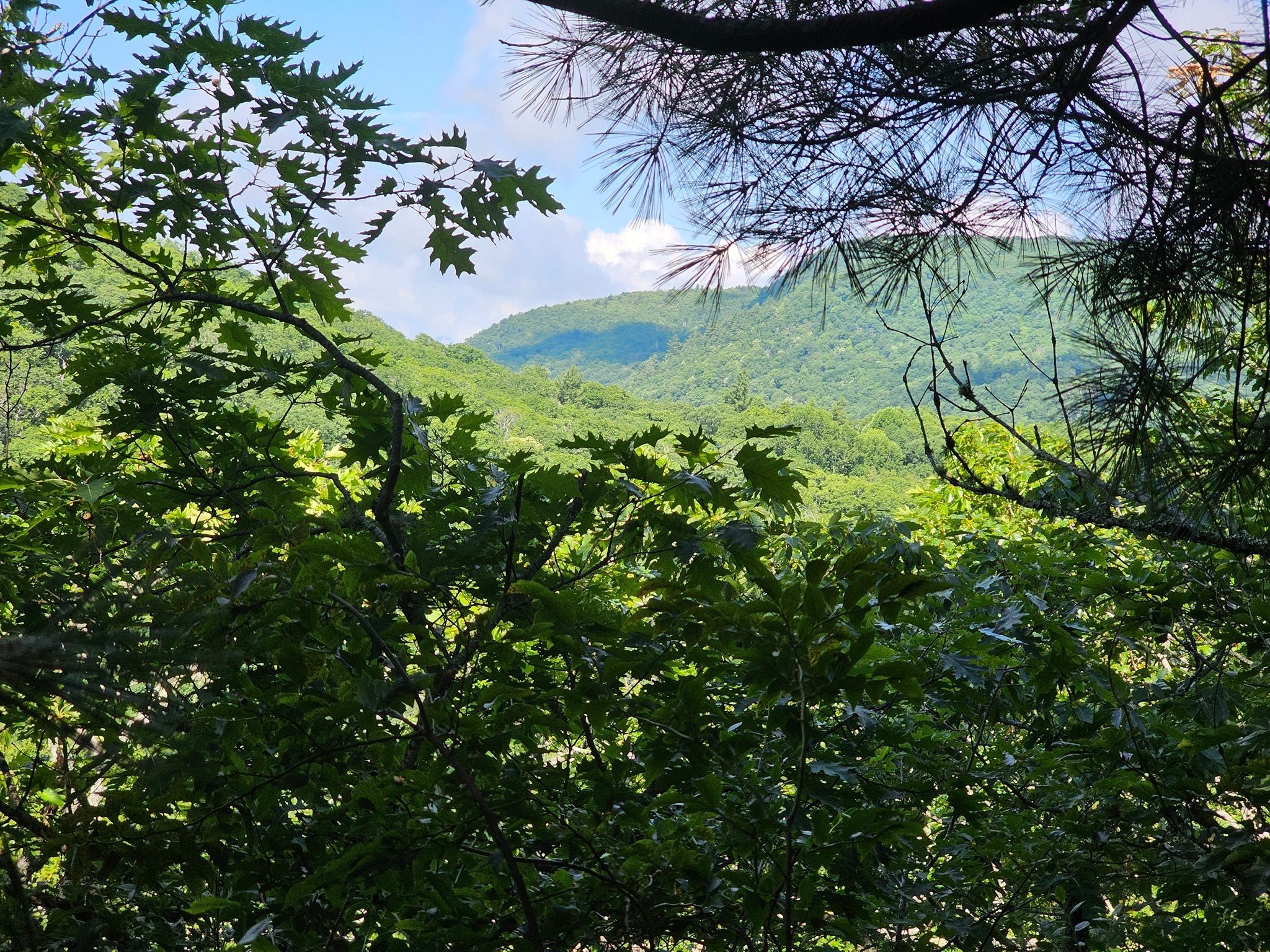 The view from Overlook #1 is limited, but its still worth checking out.