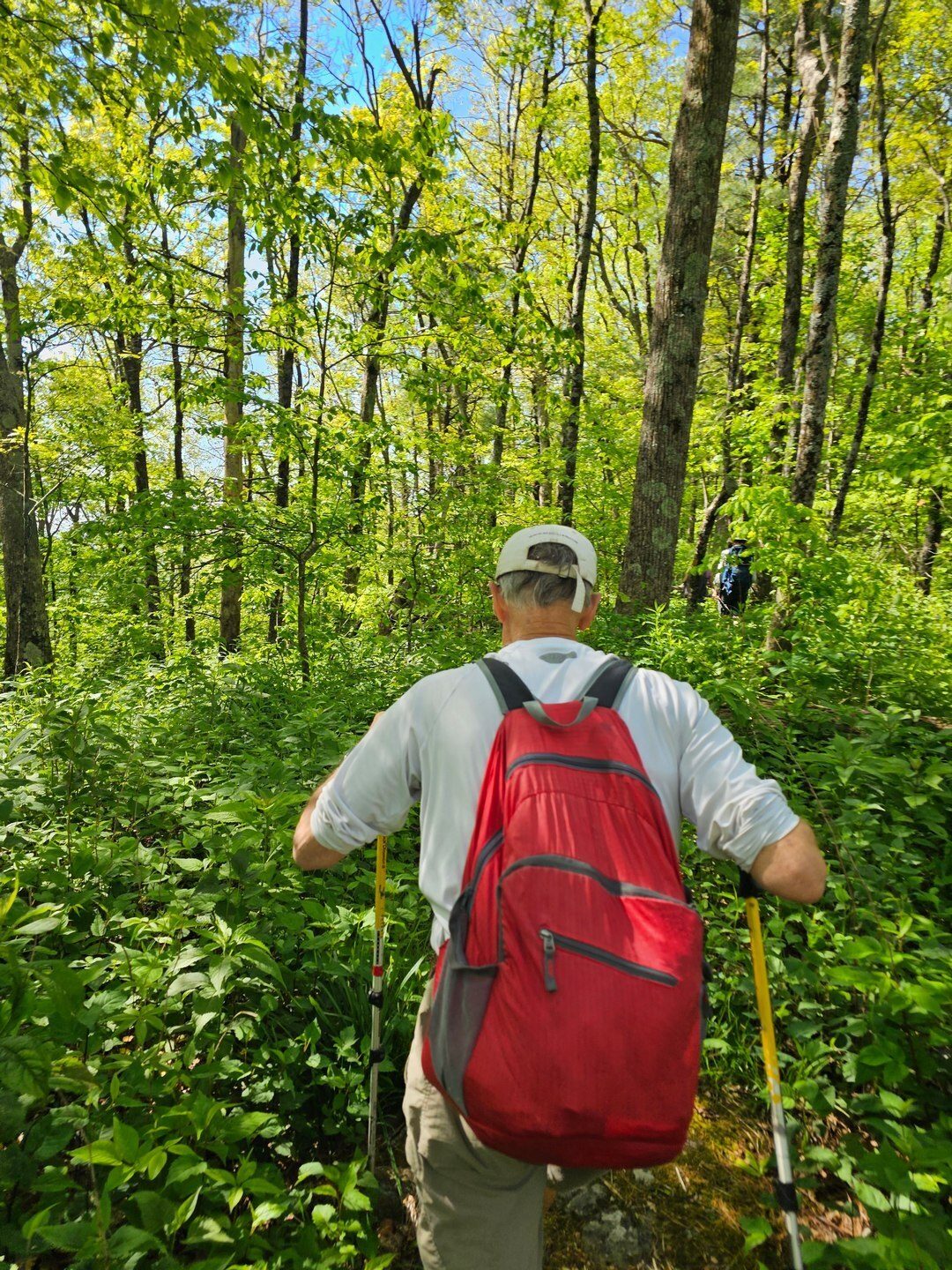 Jeff Solomon hiking up the narrow, somewhat overgrown Duncan Ridge Trail.