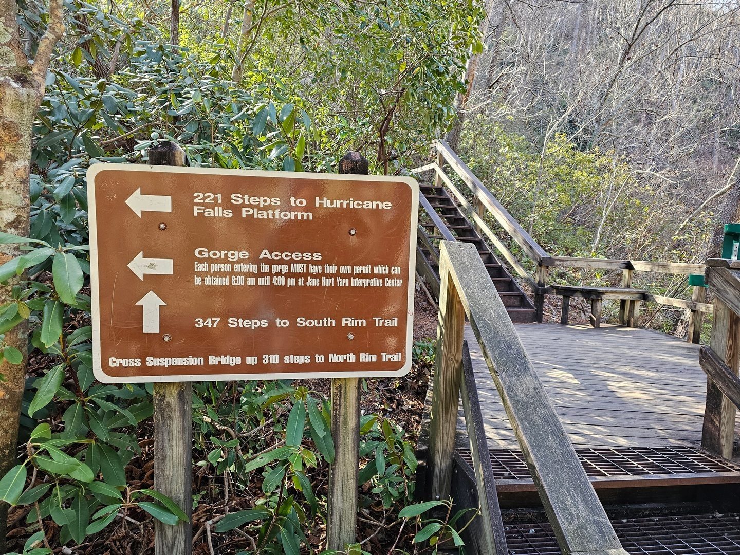 Going up anyone?
