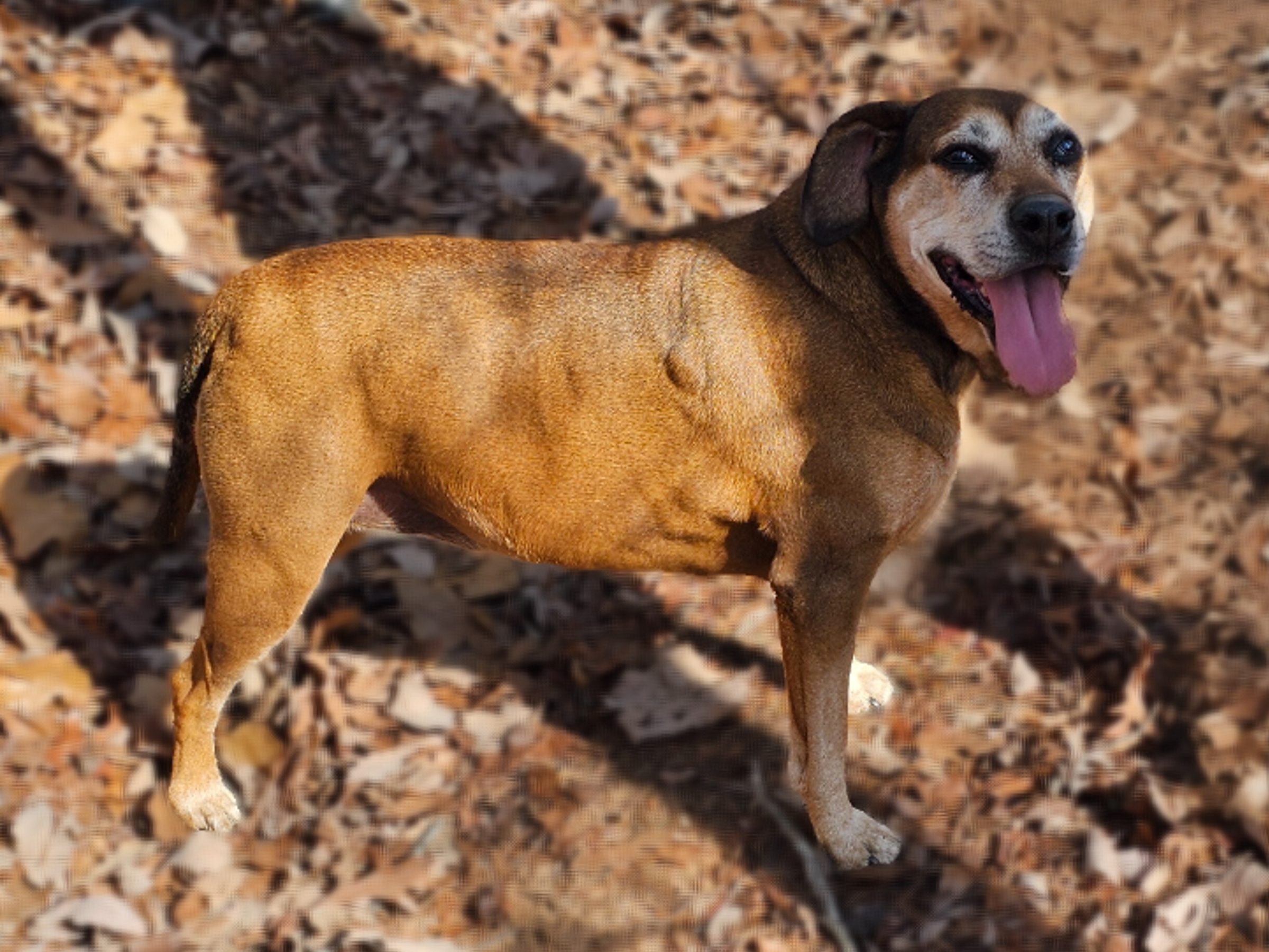 I'm Ginger, the new gal on this hike.
