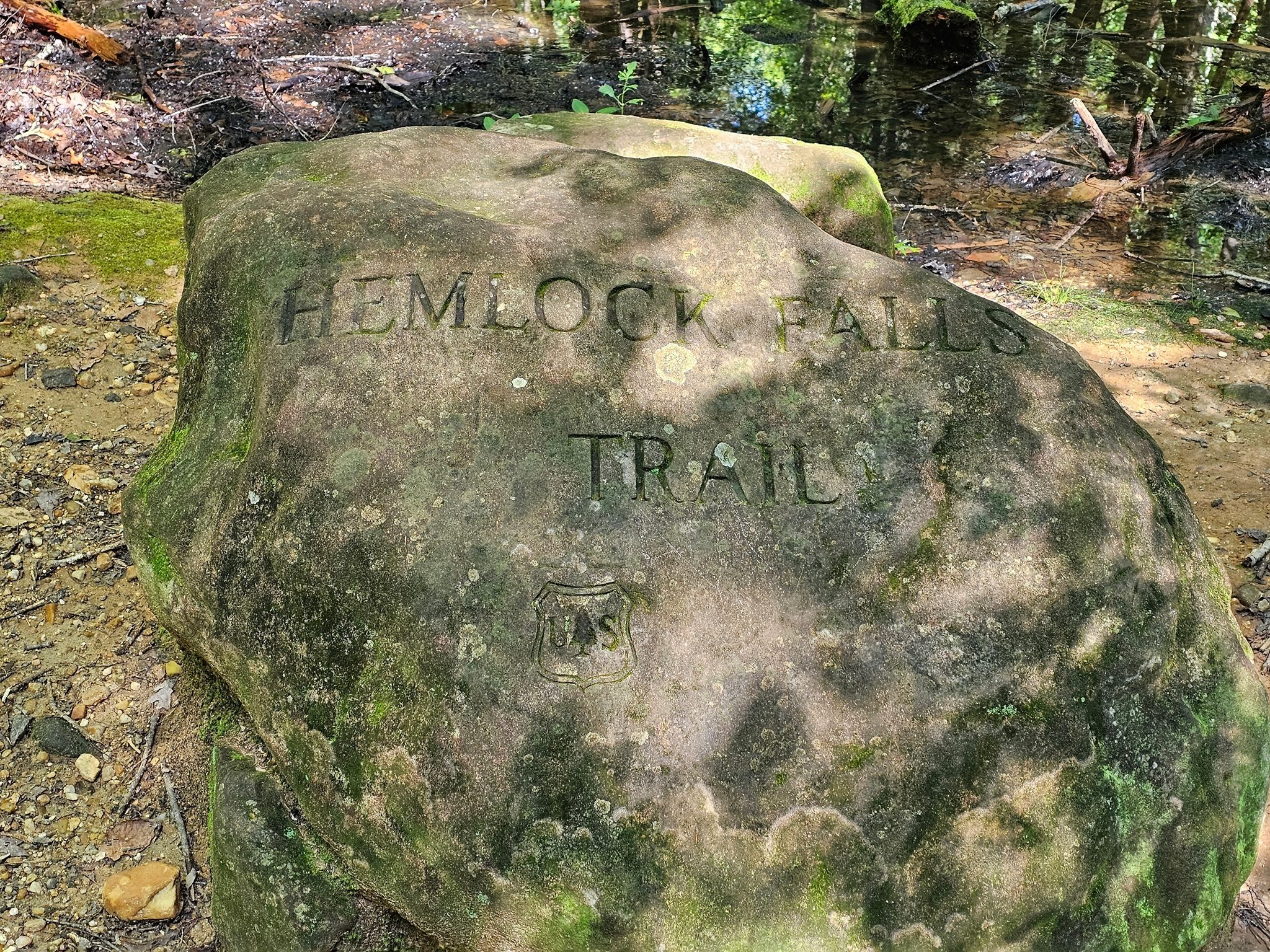 We continue our hike on the Hemlock Falls Trail.